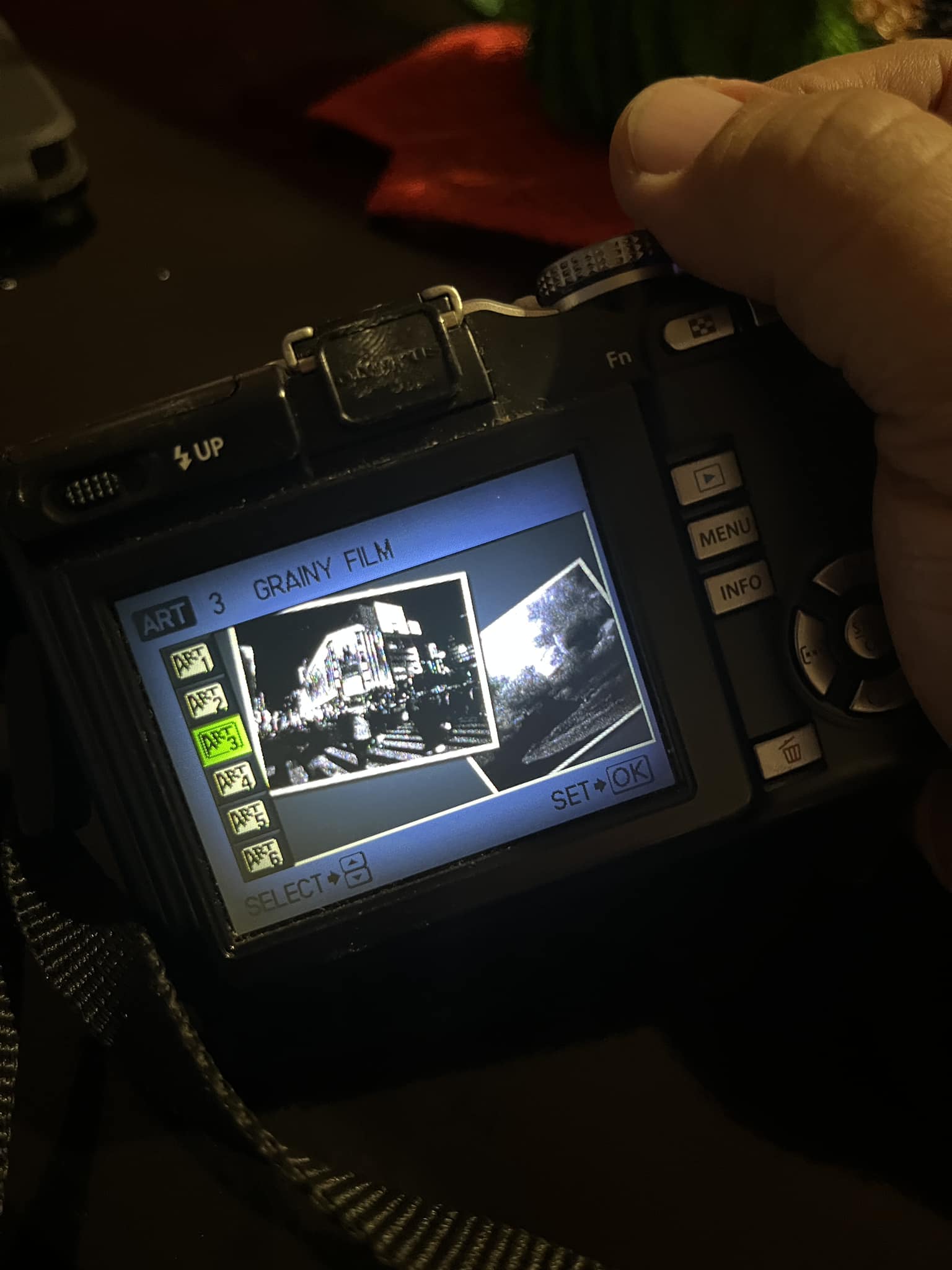 Olympus E-PL1 LCD replacement options?