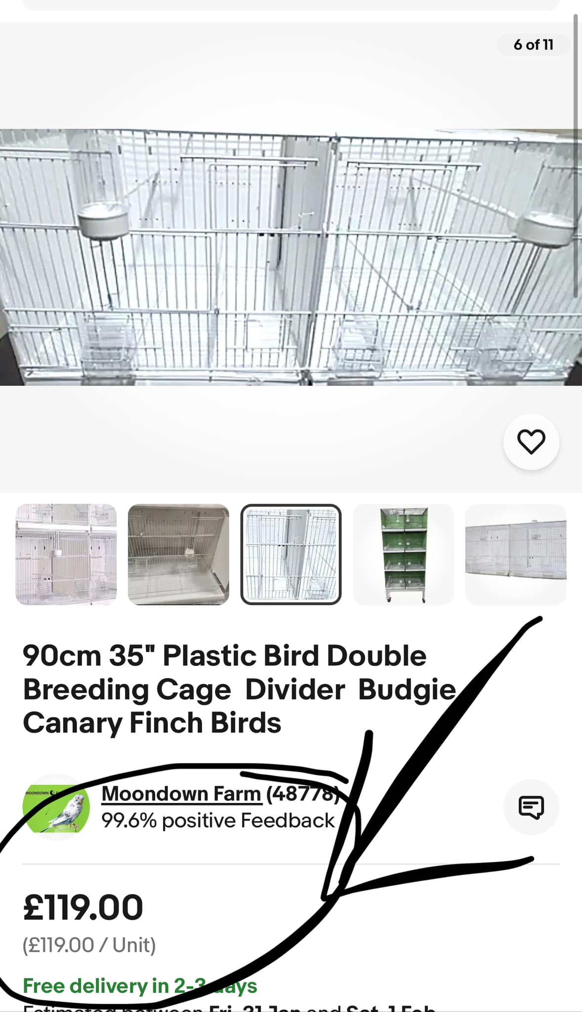 Porn Picture