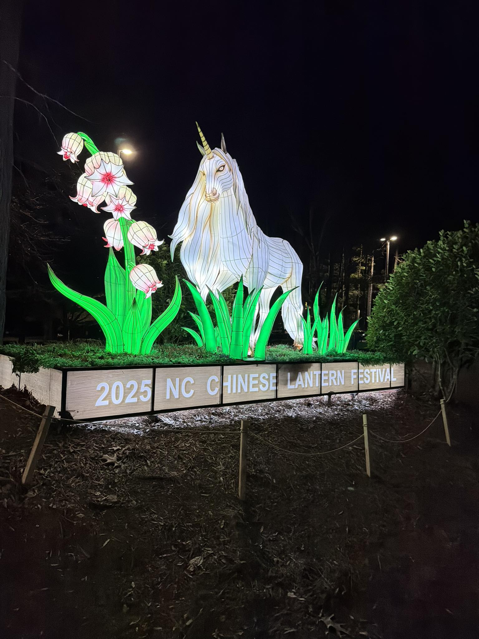 James - I took tons of photos but the 2025 Chinese Lantern Festival was ...
