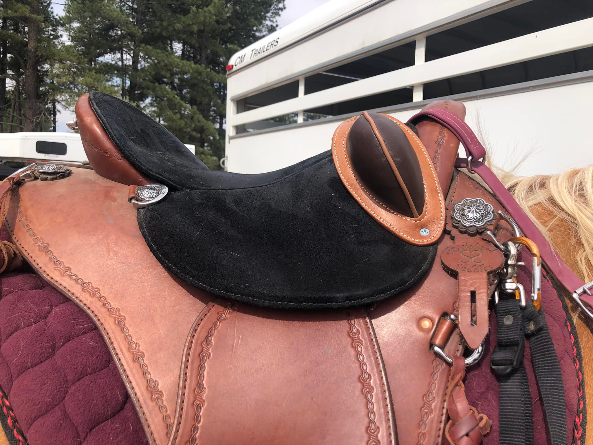 Riding in full seat pants with suede saddle seat