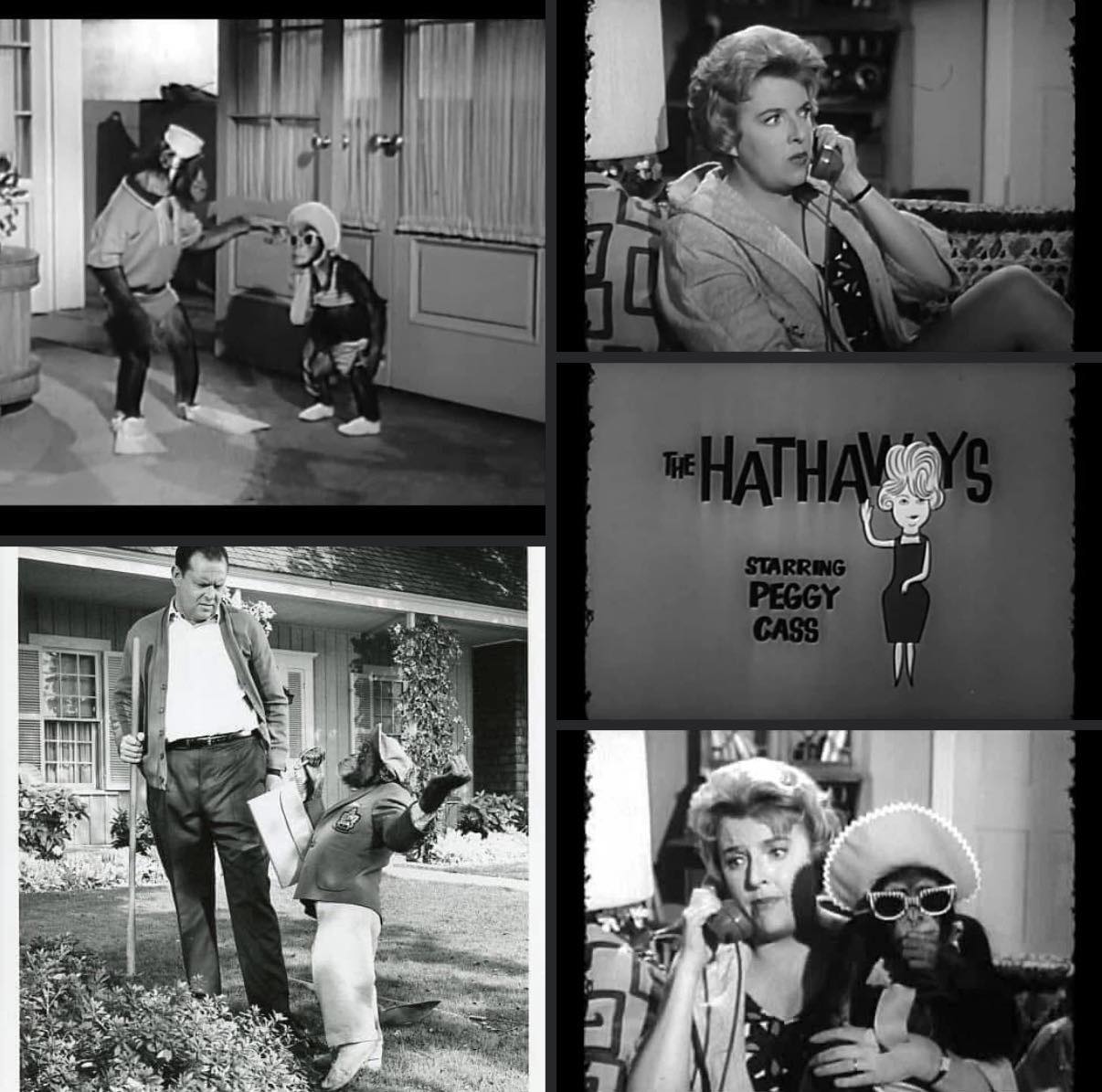 David - “The Hathaways” (ABC, 1961–‘62): 📺 🐵 •• 17 Tidbits •• 1. A ...