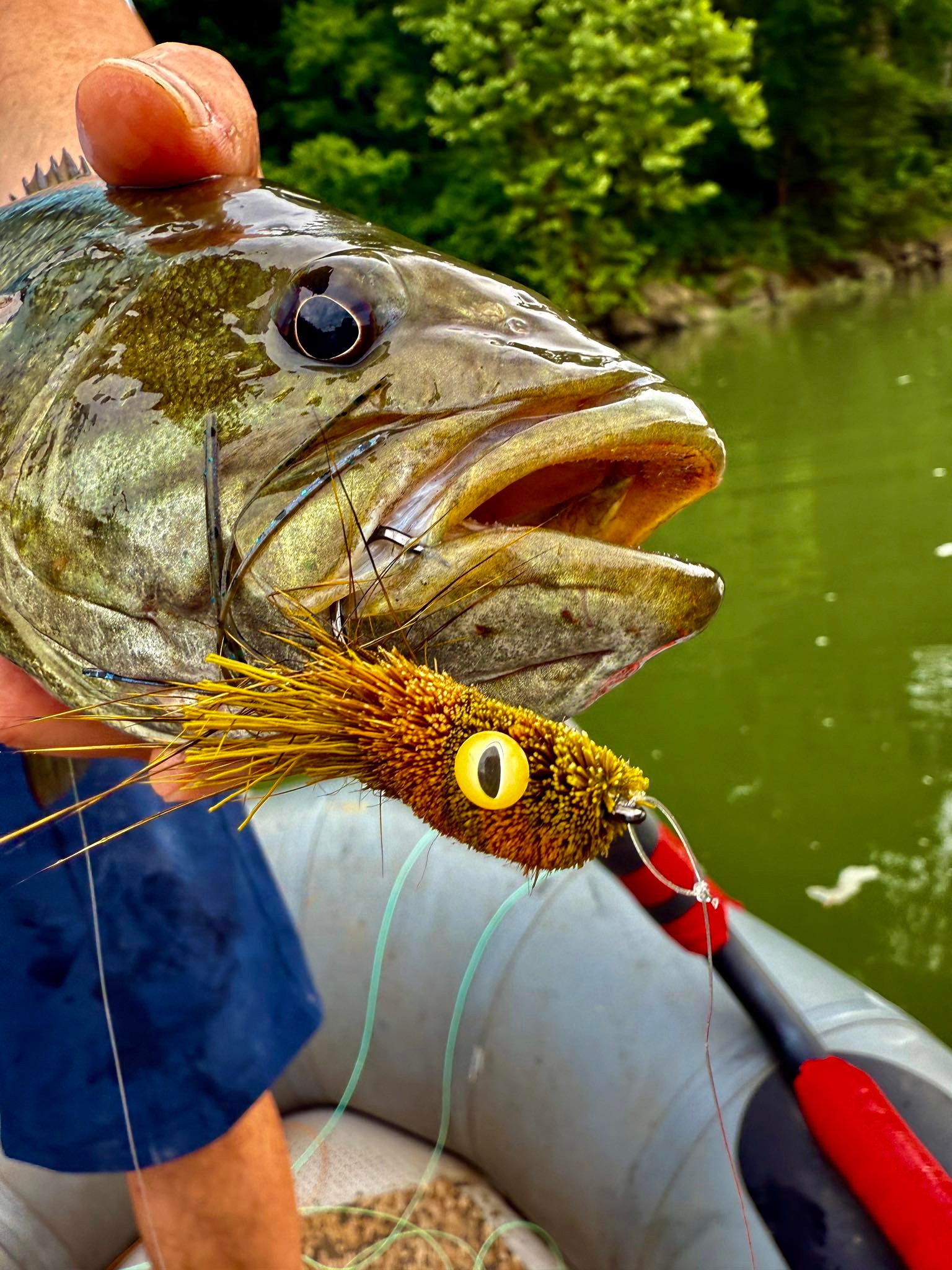 reel shimano 4bb sienna 4000 fb Spinning Fishing – Fish With Hanish Tackles it is still a color-crimson-craw Variant:3/16 oz Clearwater Fly Rod Saltwater