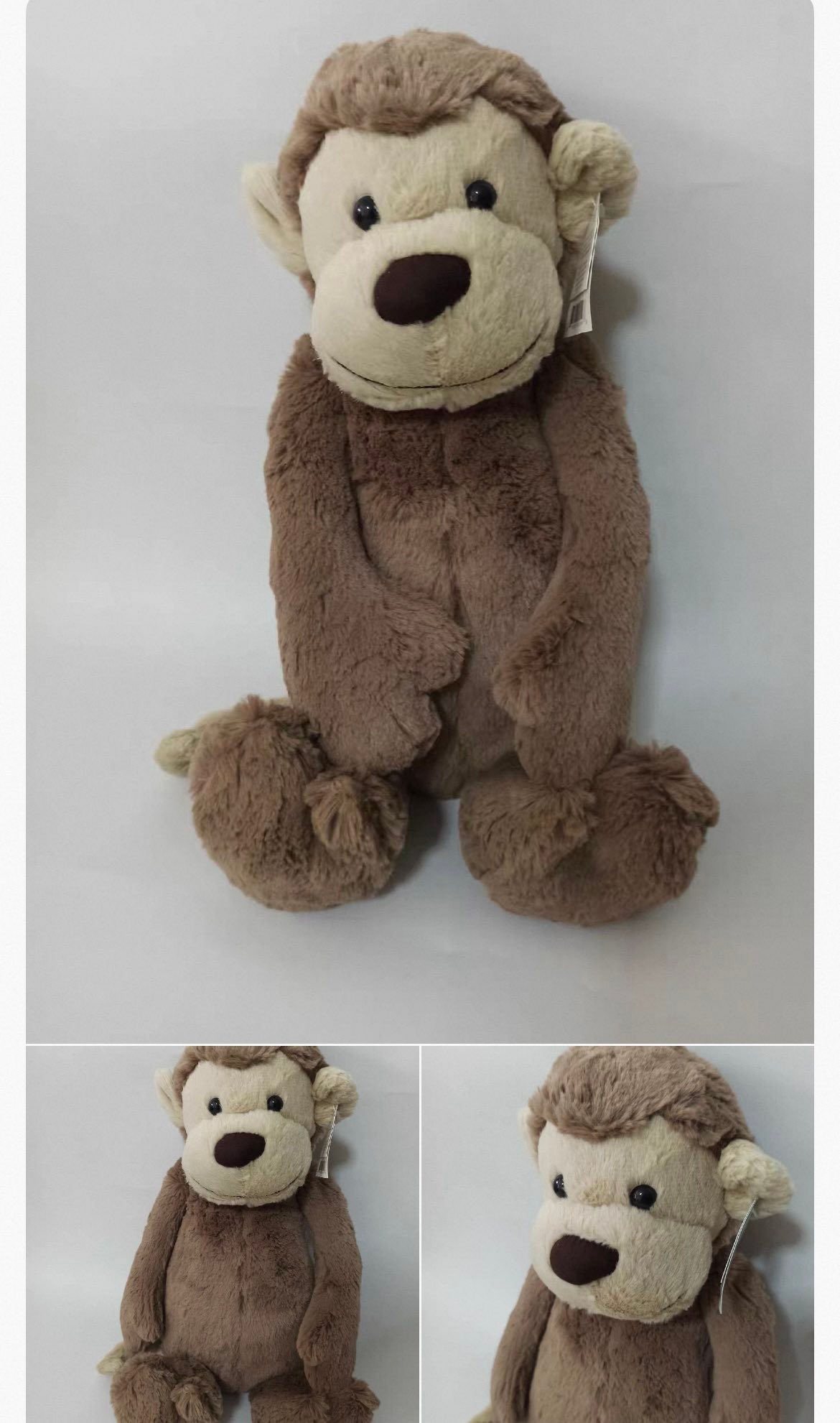 Is my medium Bashful Monkey genuine?