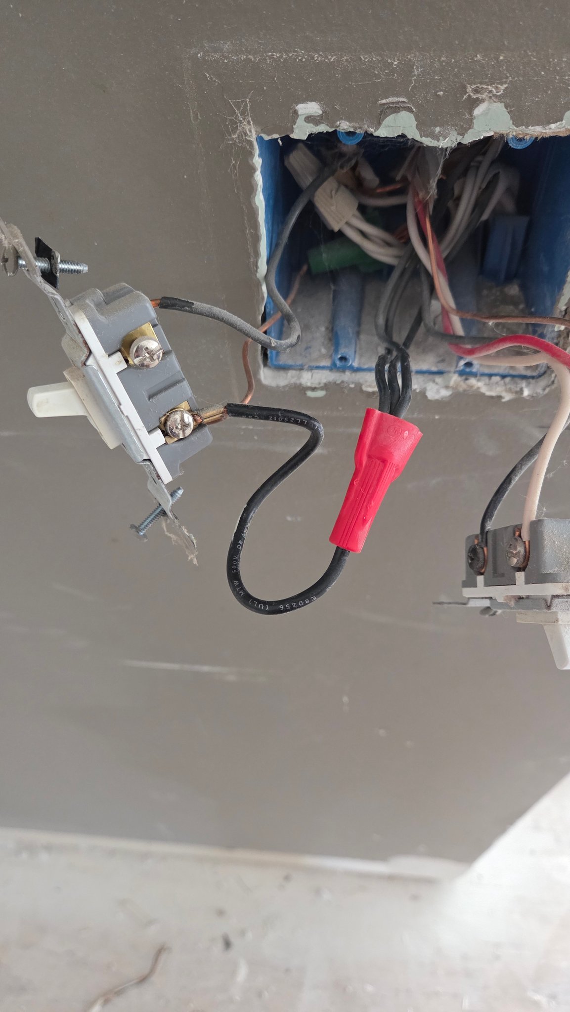 Electricians | At first glance I thought this pigtail was just Jerry ...