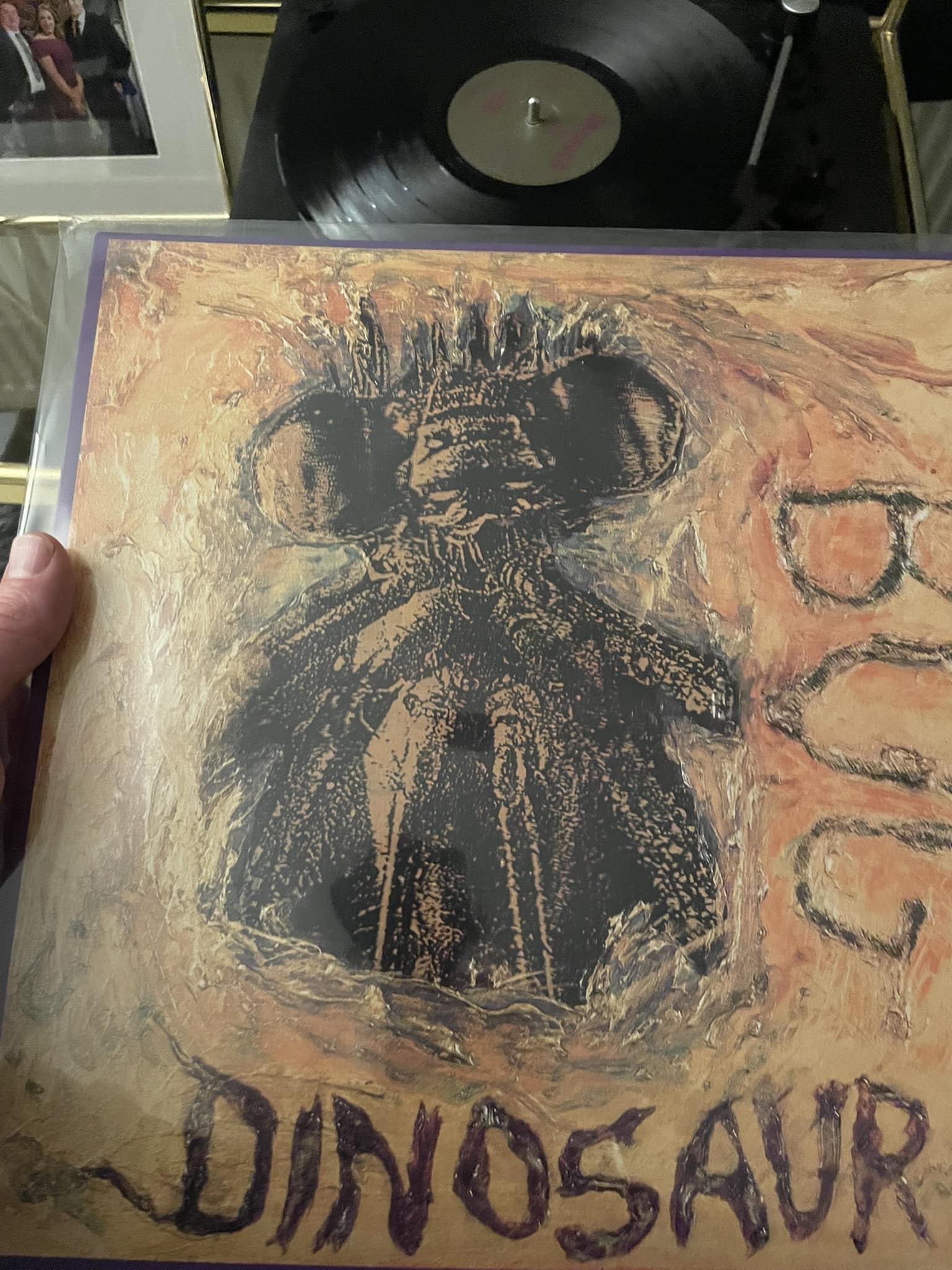 Dinosaur Jr Bug album details