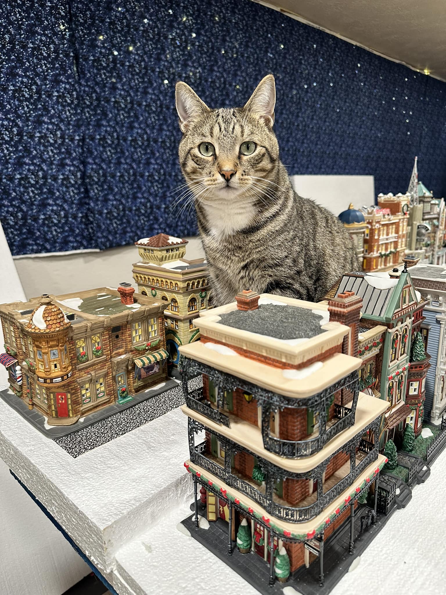 10 piece Cats Meow Christmas Village 田 ES1 BAKERY 製品製な製 環脂