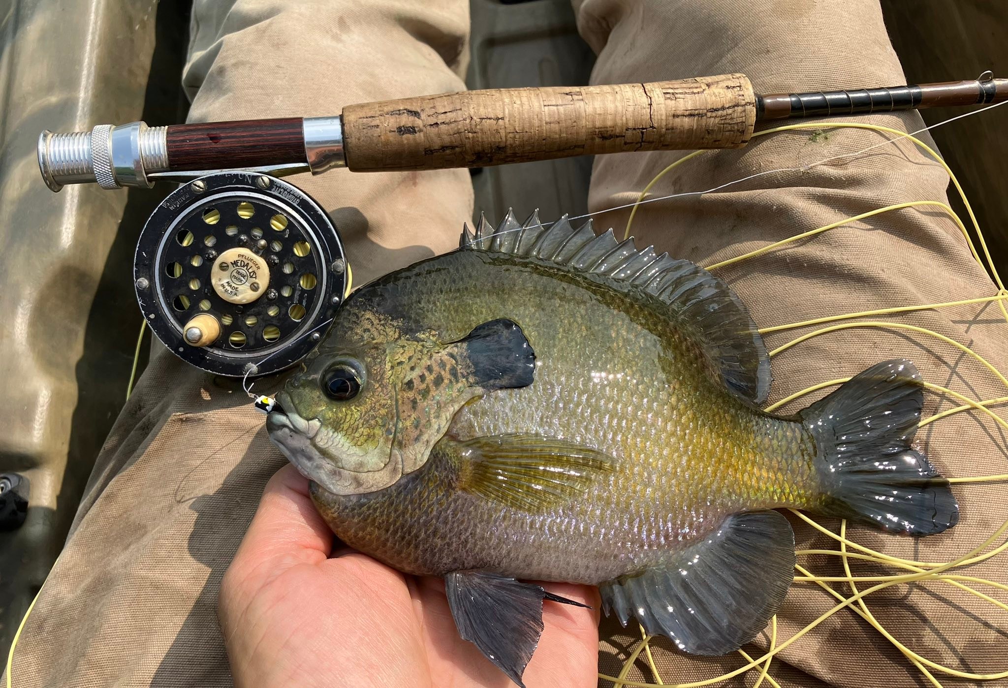 child's fishing tackle box Troubles : Fish Tale #1: Sammy Spinner Autoship Style:Full Kit With Carrier Case Abu Garcia Daiwa Lews Machine washable.