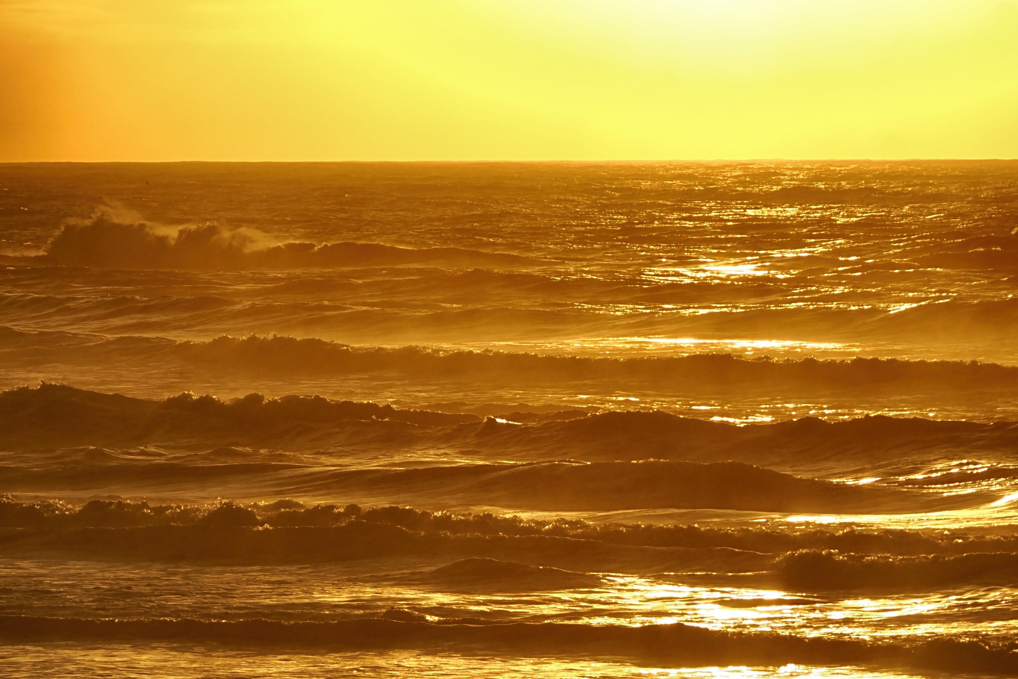 Oregon Coast Experience | Golden hour is so literal here on the Oregon ...