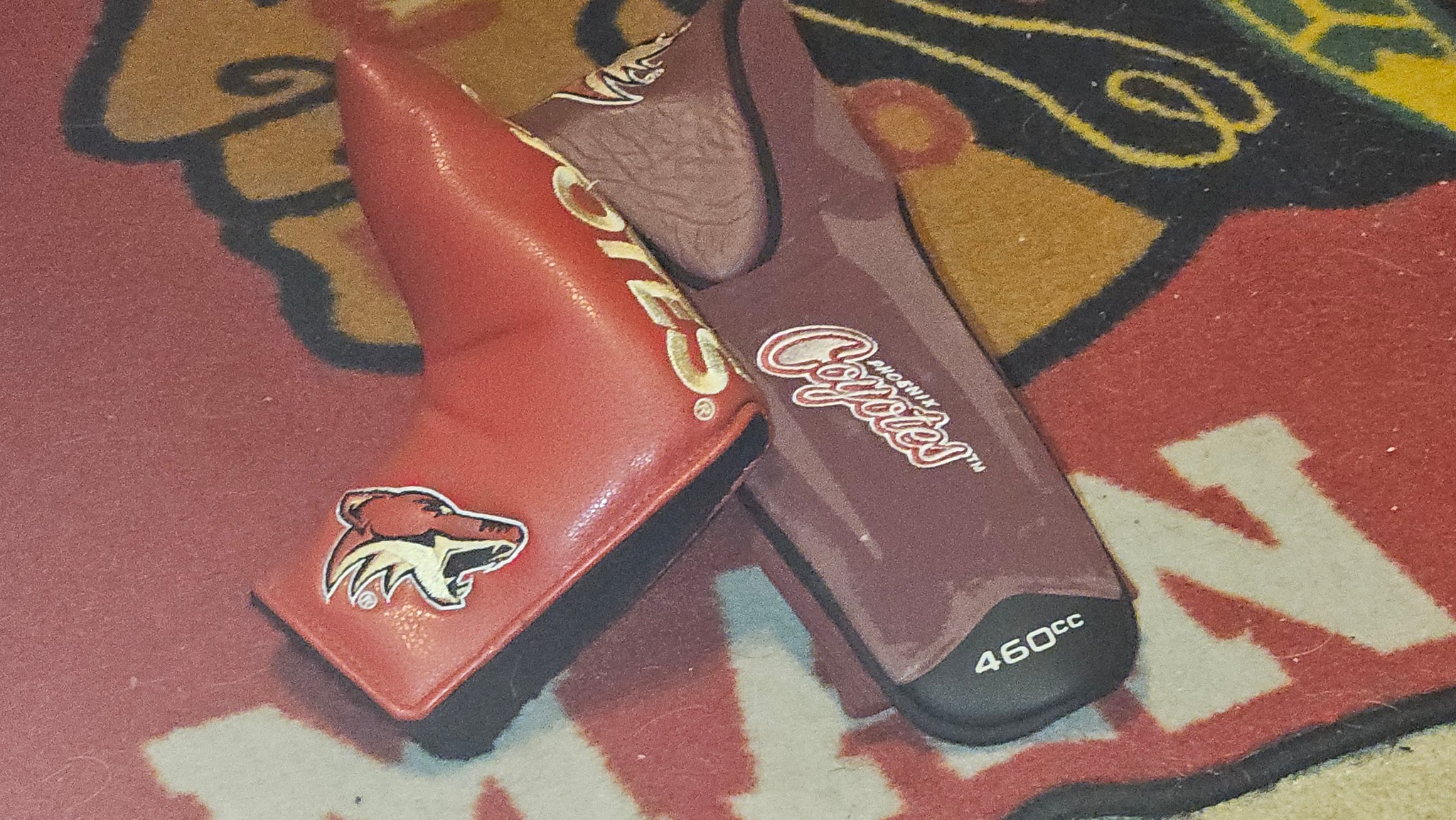 THE COYOTES ALUMNI NHL FAN PAGE RFD | Facebook