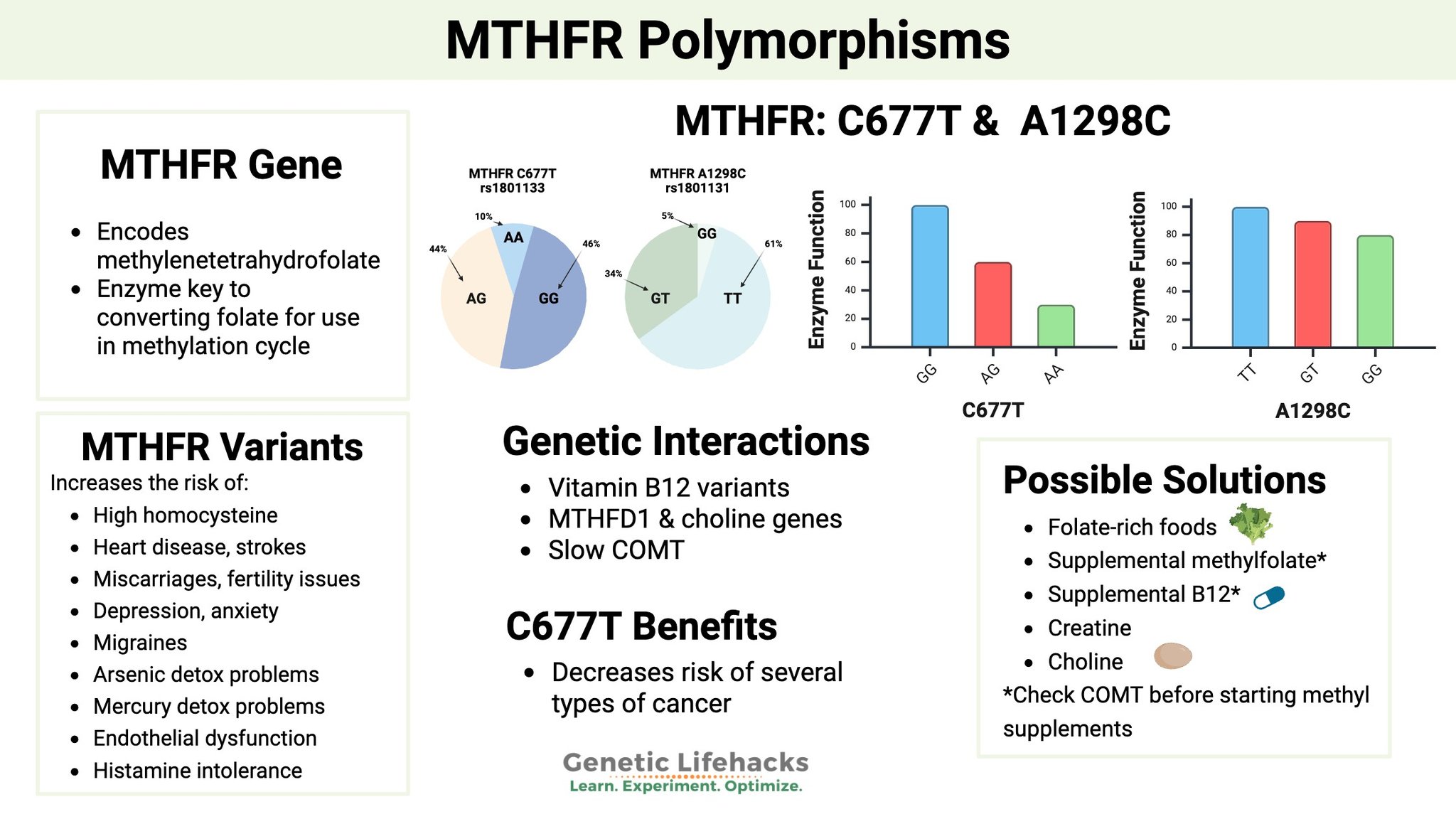 MTHFR Gene Mutation | Just getting started with this | Facebook