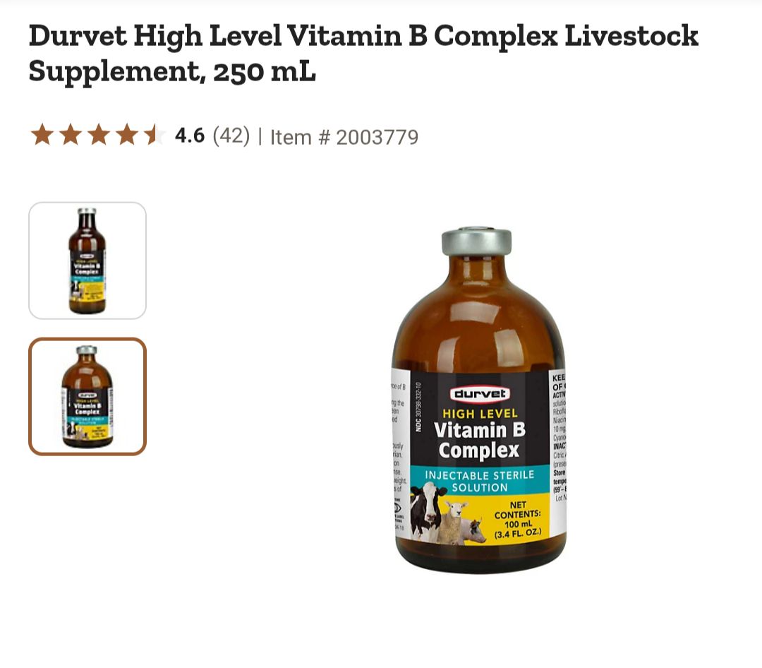 Role of Vitamin B12 in sheep health and supplementation guidelines