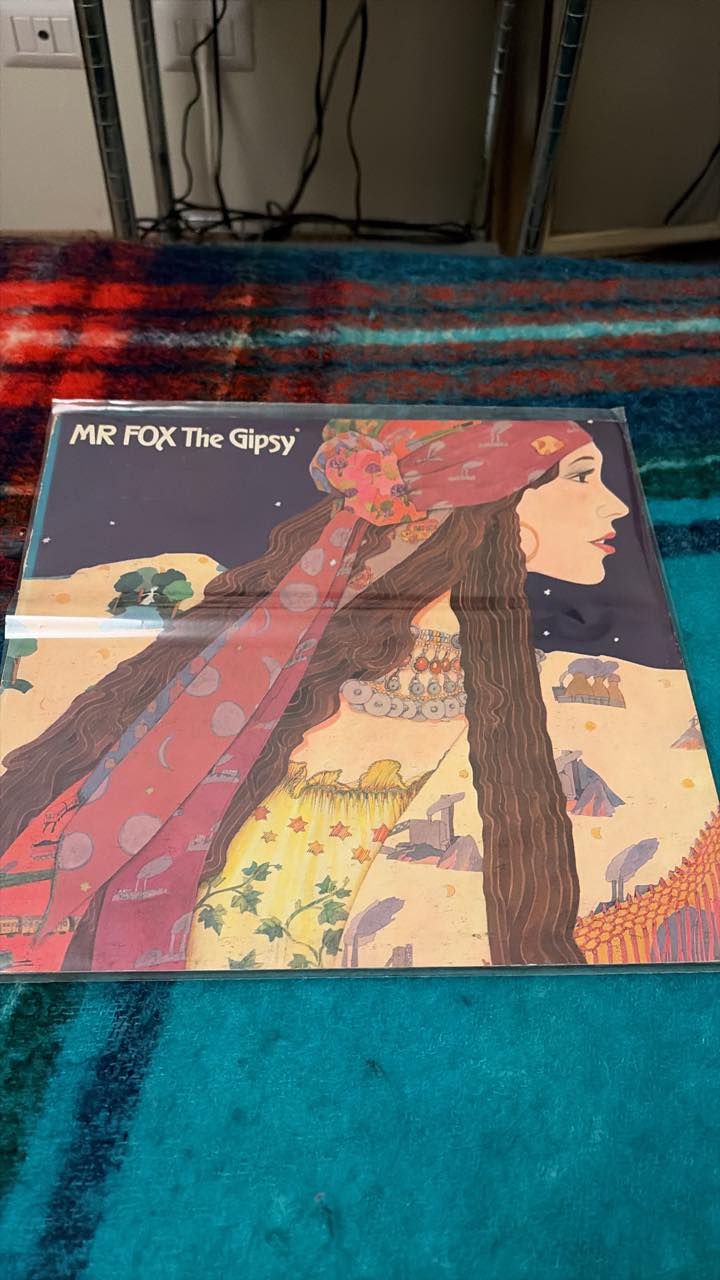 Mr Fox were an early 1970s British folk rock band. They were seen