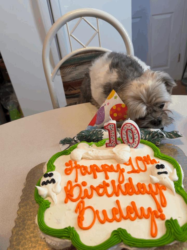 Vincent Rugani