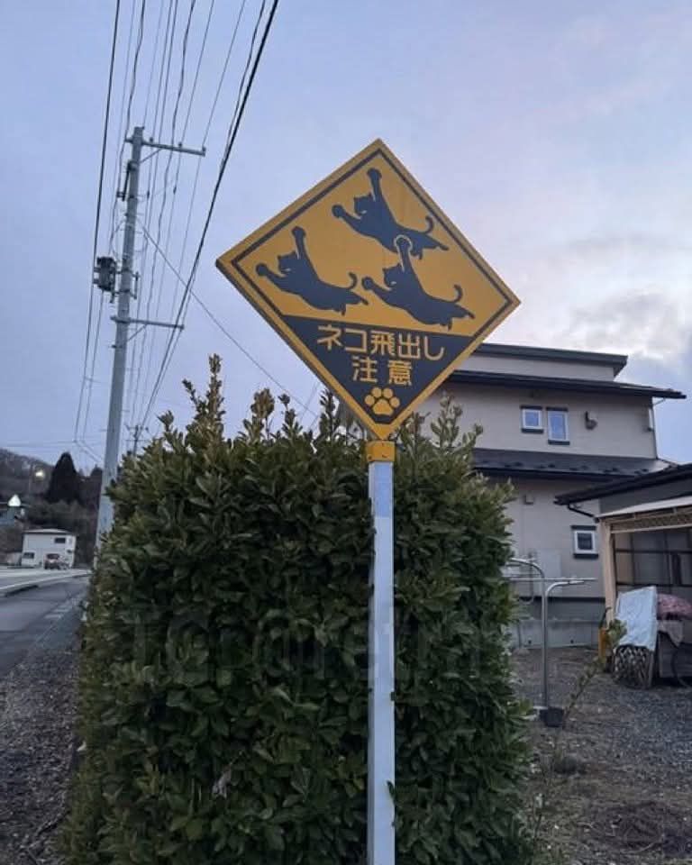 🙀🇯🇵 Only in Japan: You'll see some cute signs that say “Be