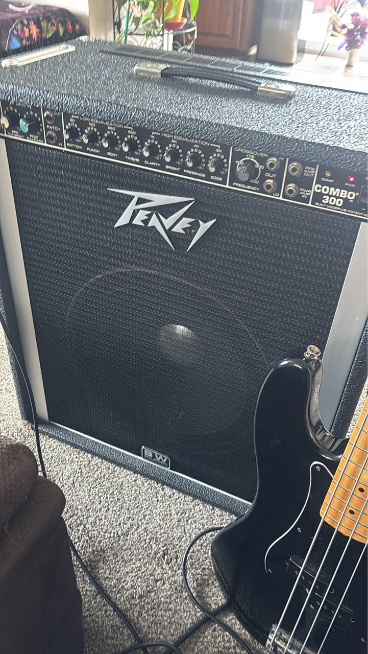 Restoration of a 1996/97 Peavey Combo 210TX bass amplifier