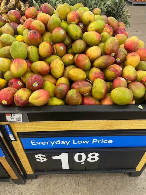 Orlando Gardener | Floridian's who can get tree ripe mango may frown at ...