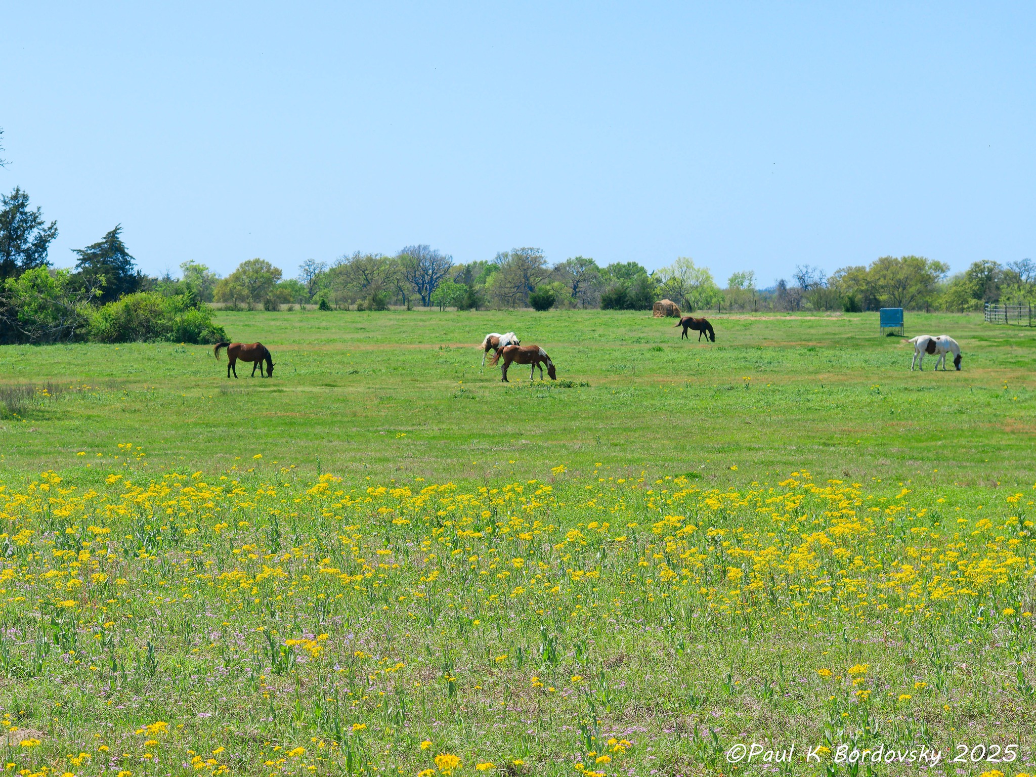 TEXAS BACK ROADS | Does anyone have any information about Octane Oils ...