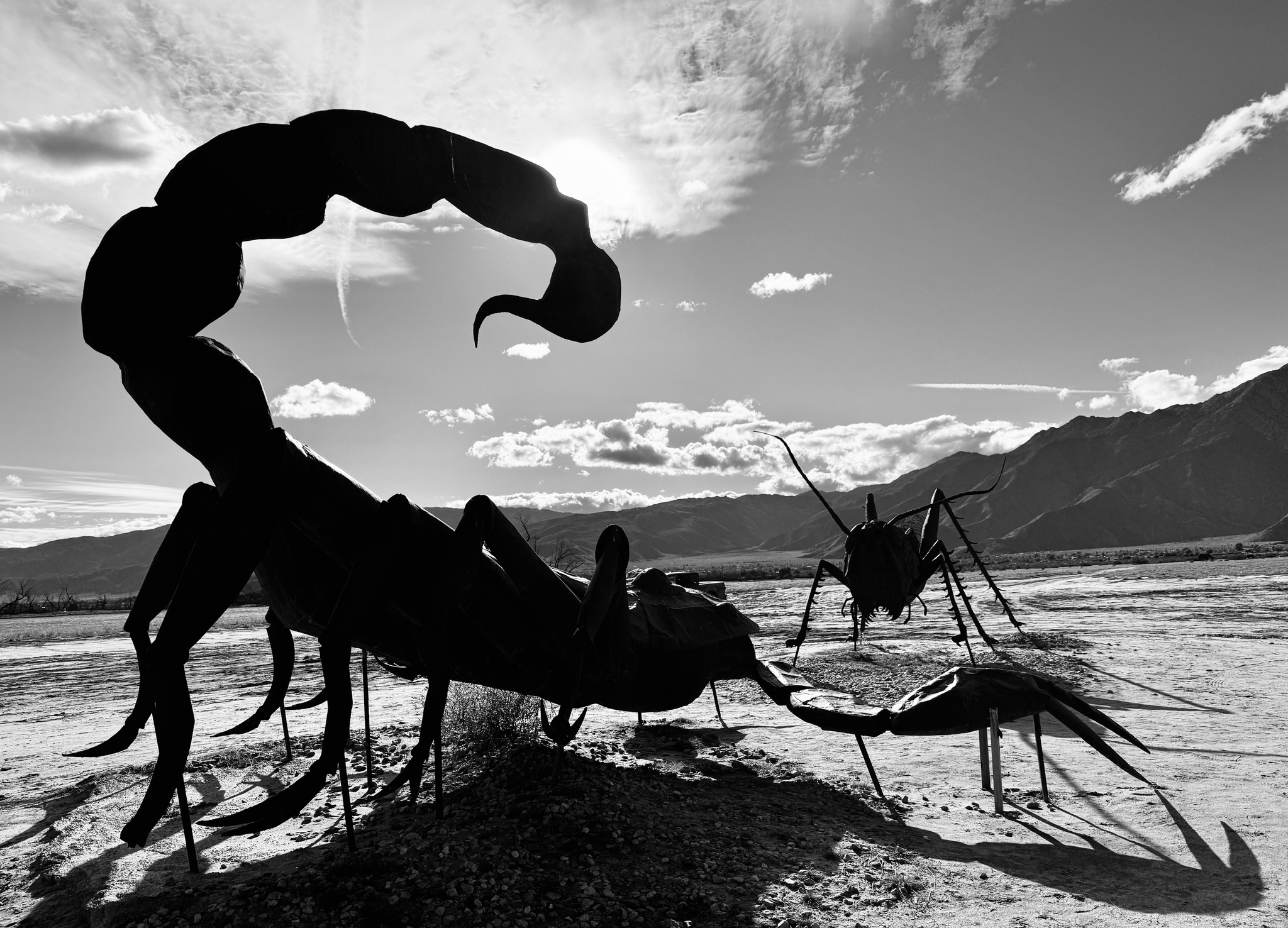 Trying some B&W. Anza Borrego Desert State Park. The scorpion and