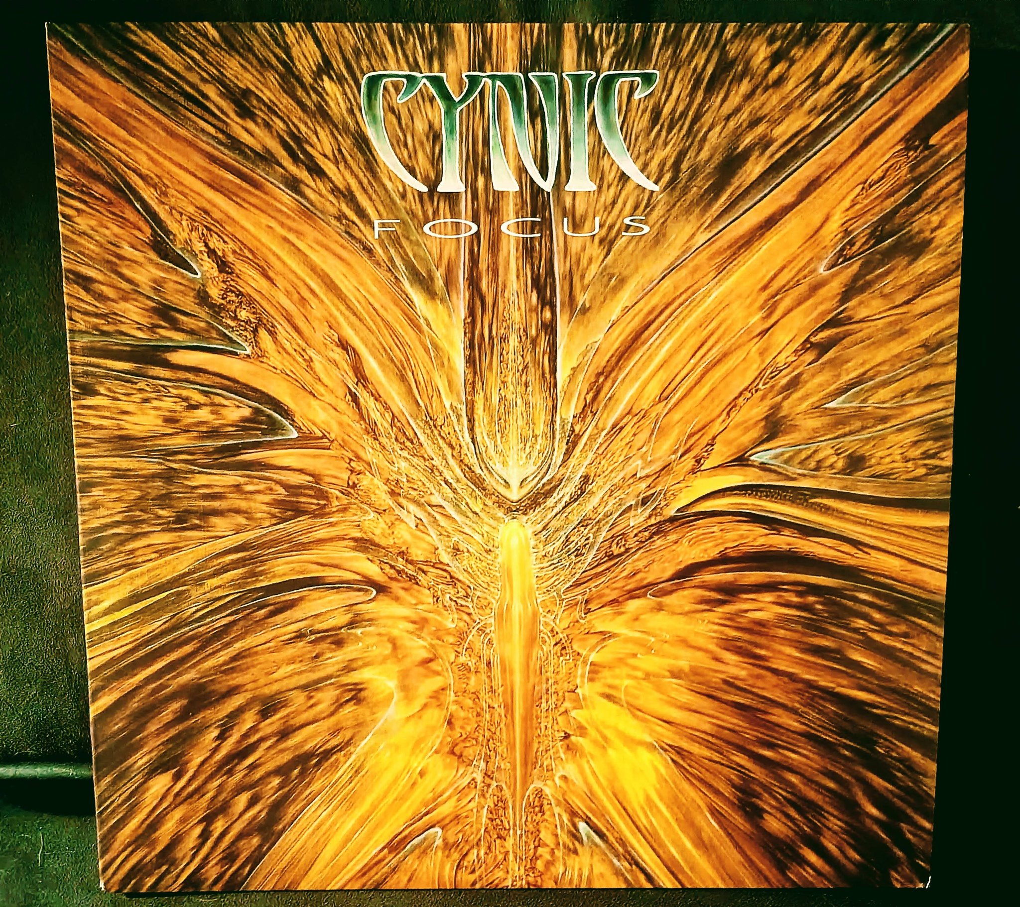 Cynic's Focus album released September 13th 1993