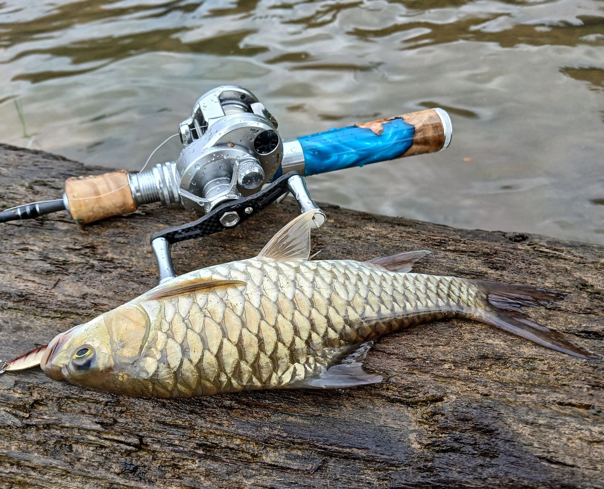 best fishing lure for mahseer Curly Tail 30gm Soft Vibe and you can only watch them Top 5 Baits For May