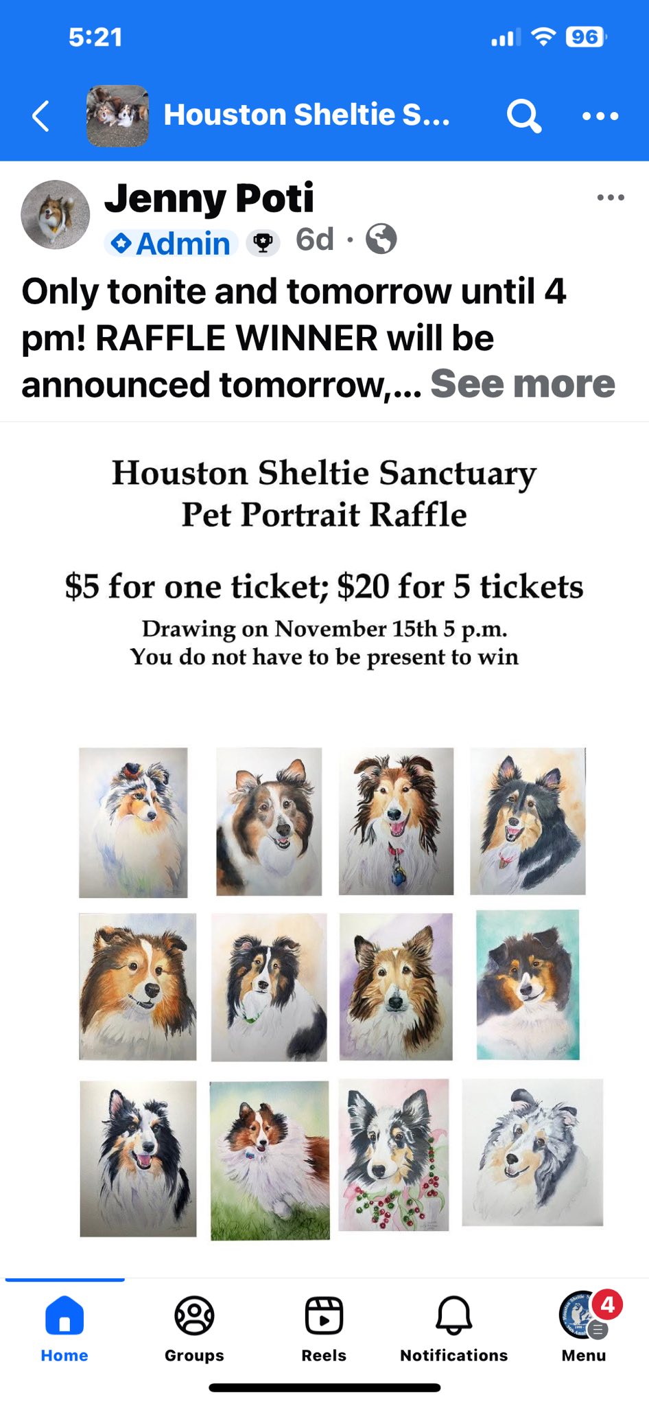 Houston Sheltie Sanctuary, Inc. | And the winner of the portrait is the ...