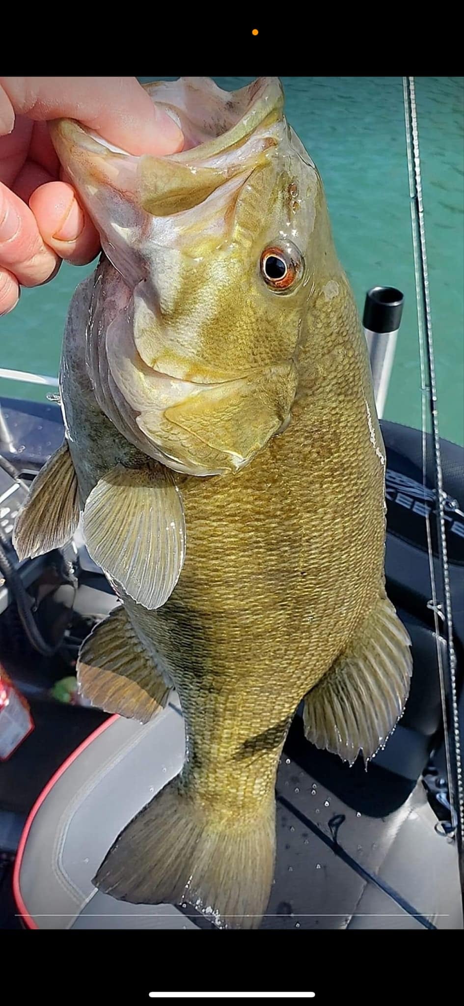 Capt. Ralph Steiger - Charter Fishing