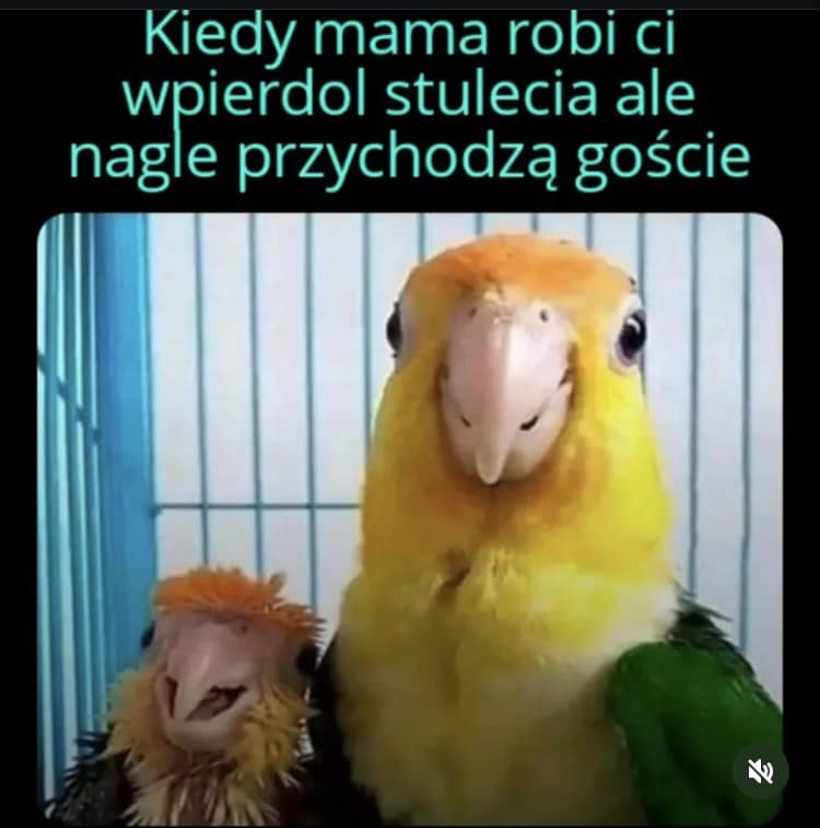 Magdalena - Tentego.. 😇 #extra | Facebook