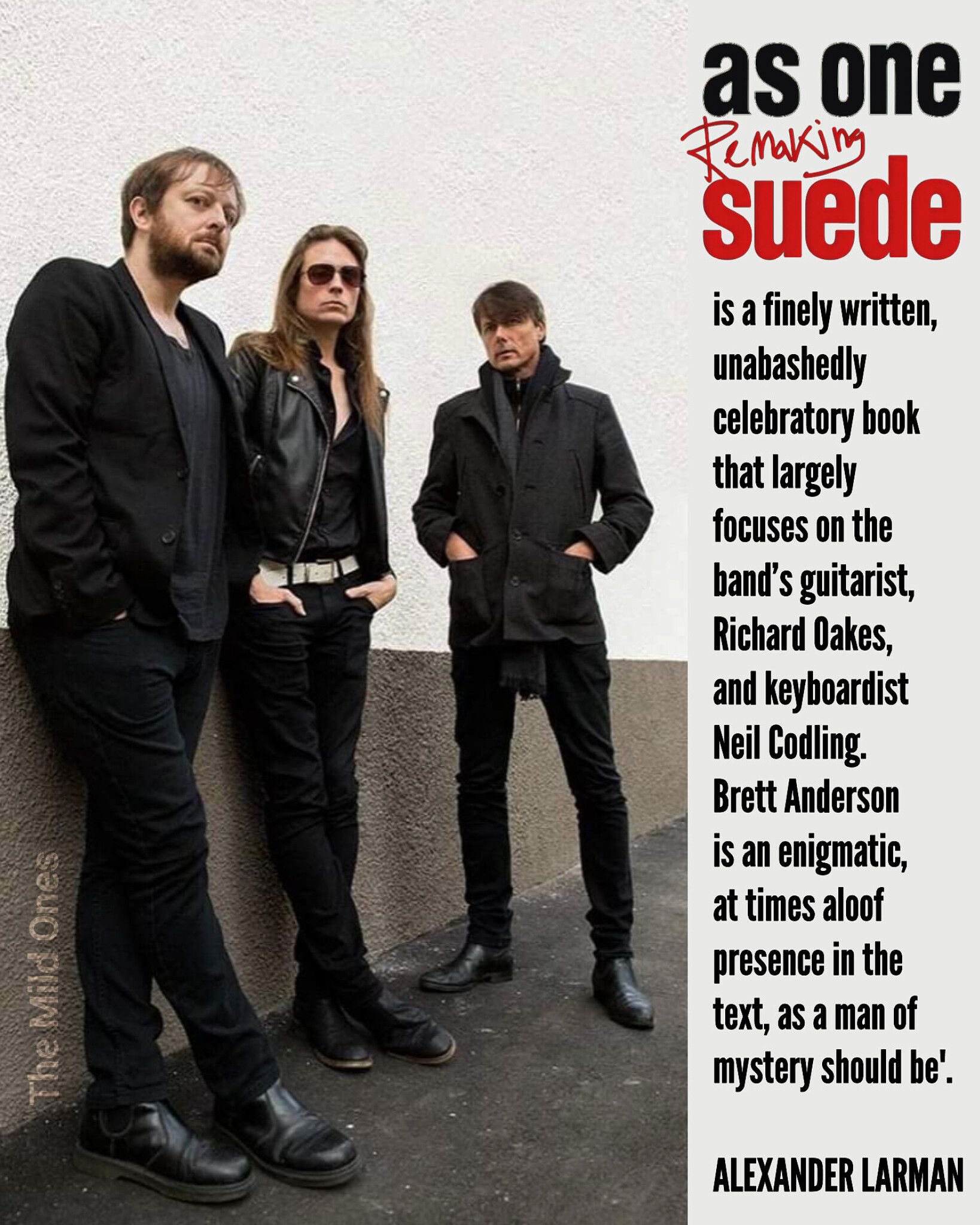 Insightful book about Suede's songwriting and band history