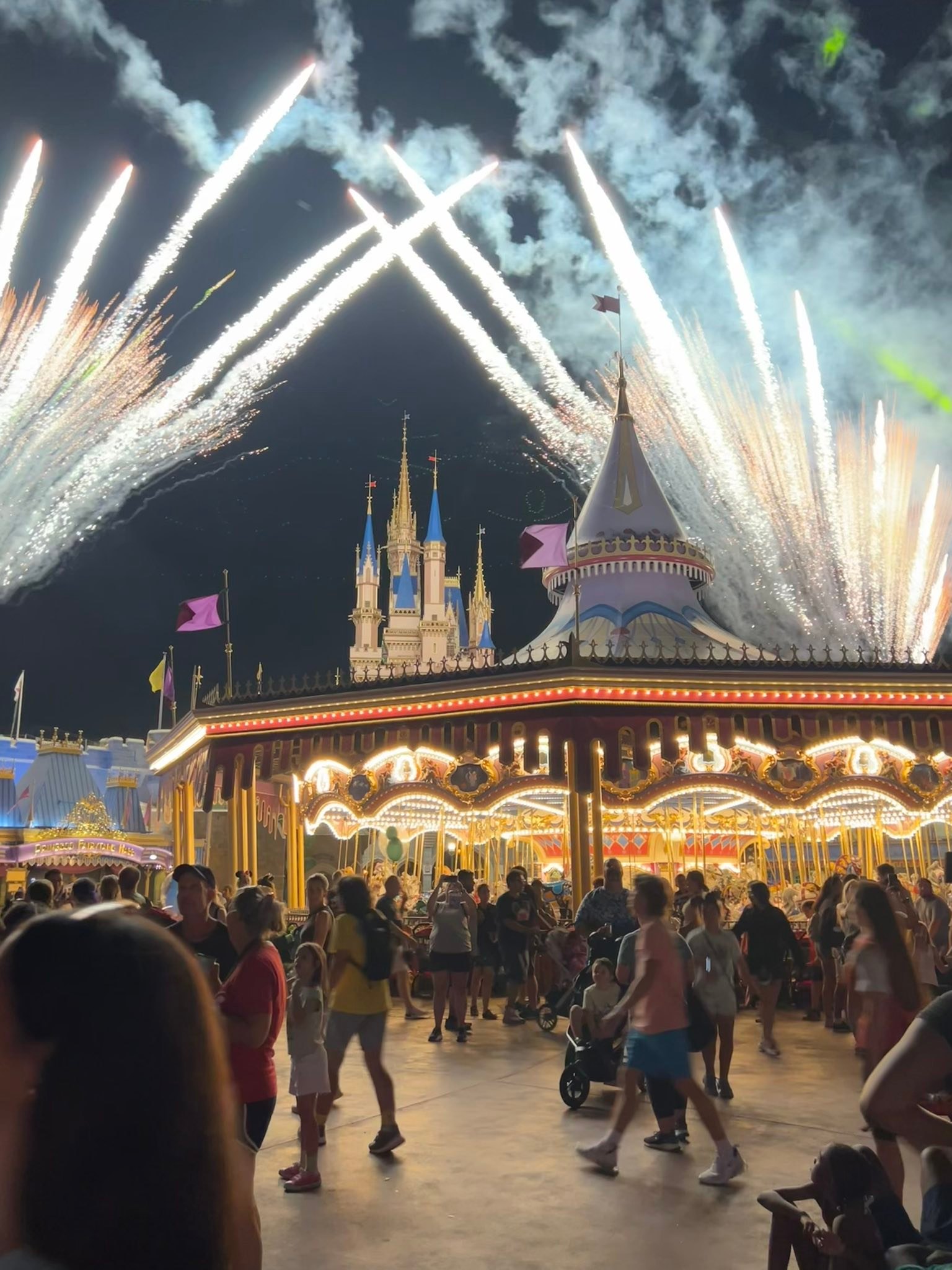 Disney Vacation - Talk and Tips | Where do YOU prefer to watch Happily ...