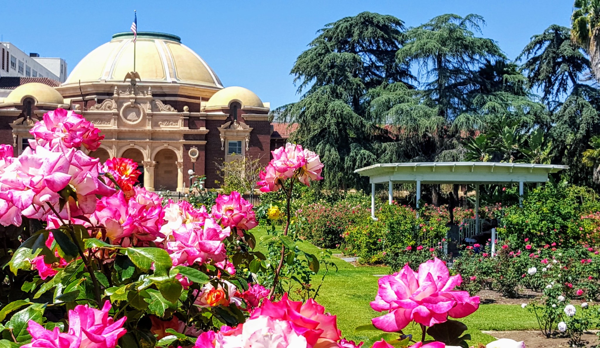 Exposition Park's historic rose garden in Los Angeles