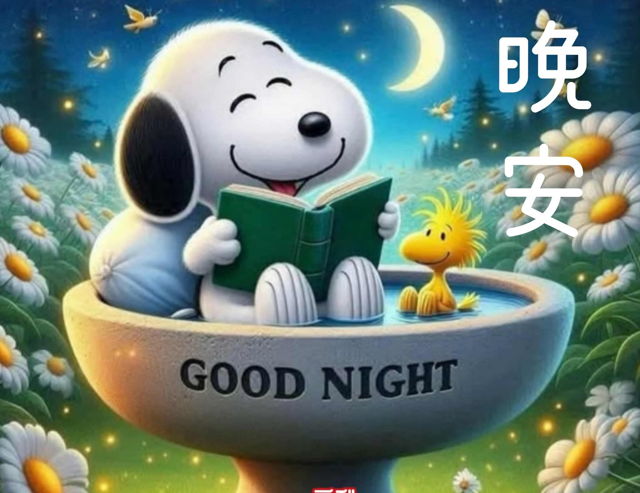 嗨～你好！早安 午安 晚安美圖分享 | 把心放轻，把梦放甜，把烦恼放下 | Facebook