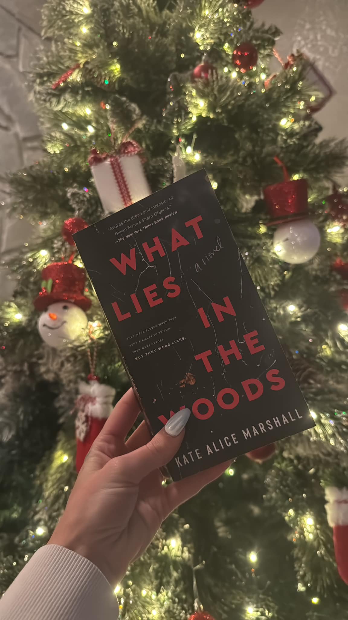 What Lies In The Woods By Kate Alice Marshall - Hardcover Thriller Novel (2023)
