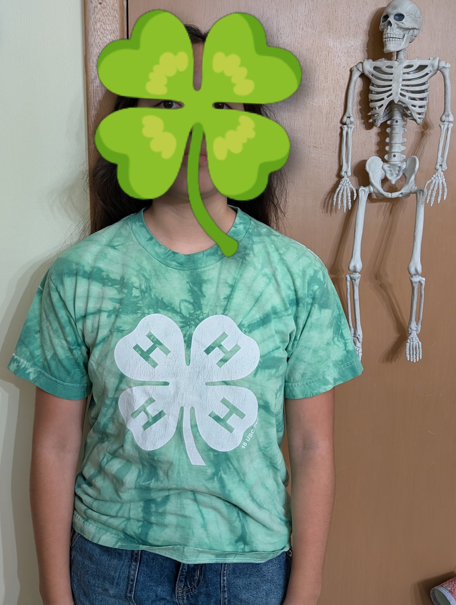 Let’s paint Illinois green! 🌱... - Rock Island County 4-H | Facebook