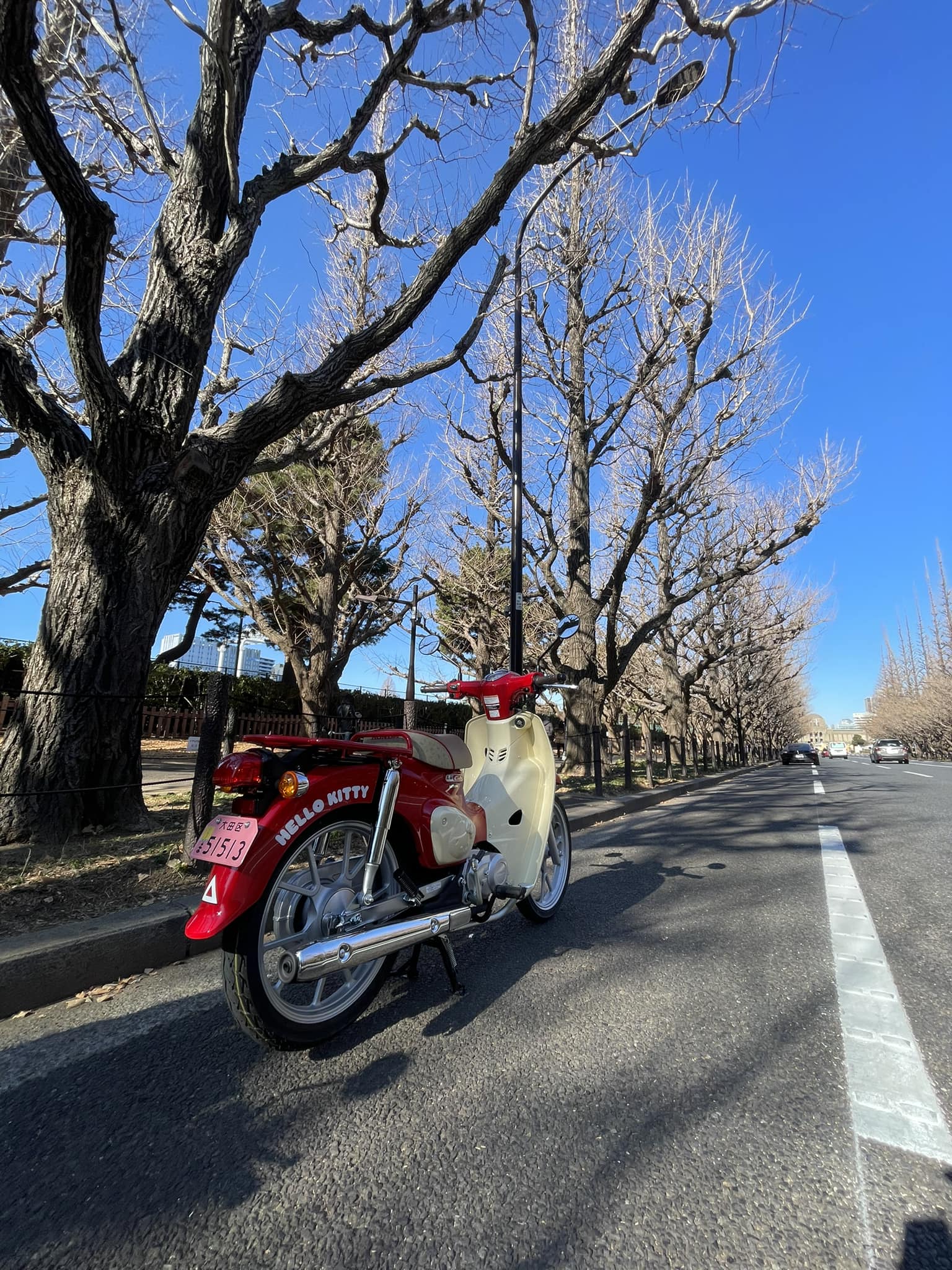 Gaijinrider picks up Hello Kitty Super Cub 110cc
