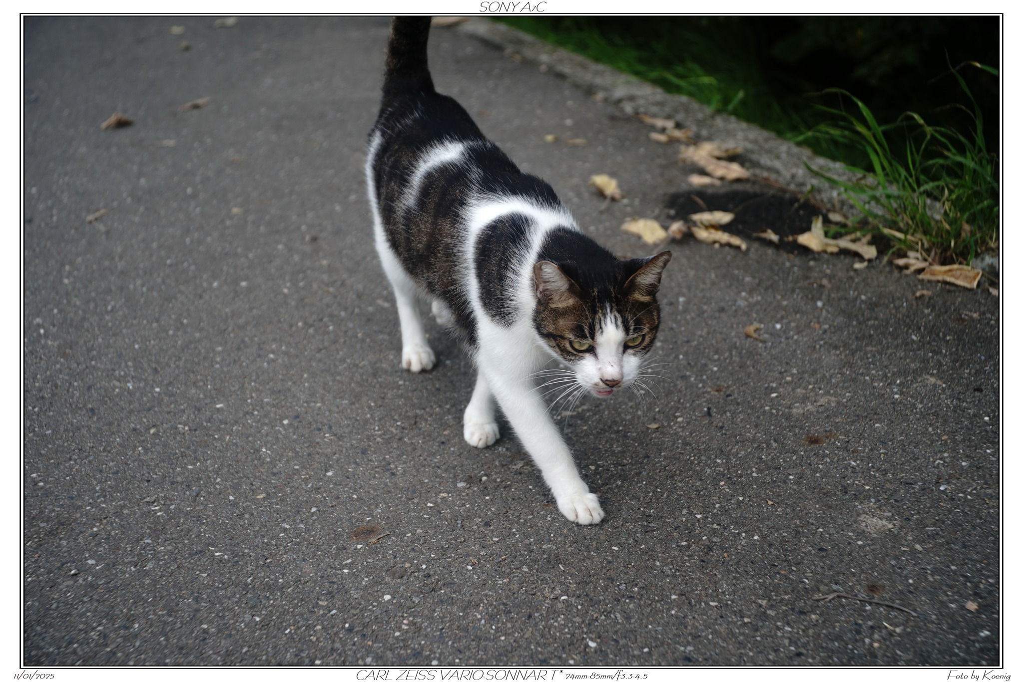 SONY A7C CARL ZEISS VARIO-SONNAR T* 24mm-85mm/f3.3-4.5