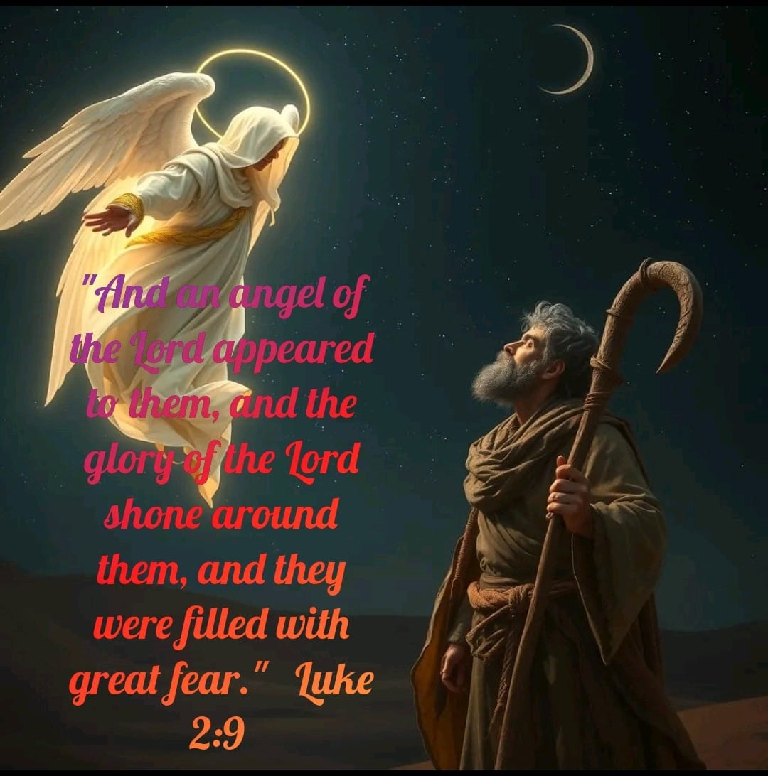 Magical Christmas & Holiday Wonderland🎄🎅🏻 | Luke 2:9 | Facebook