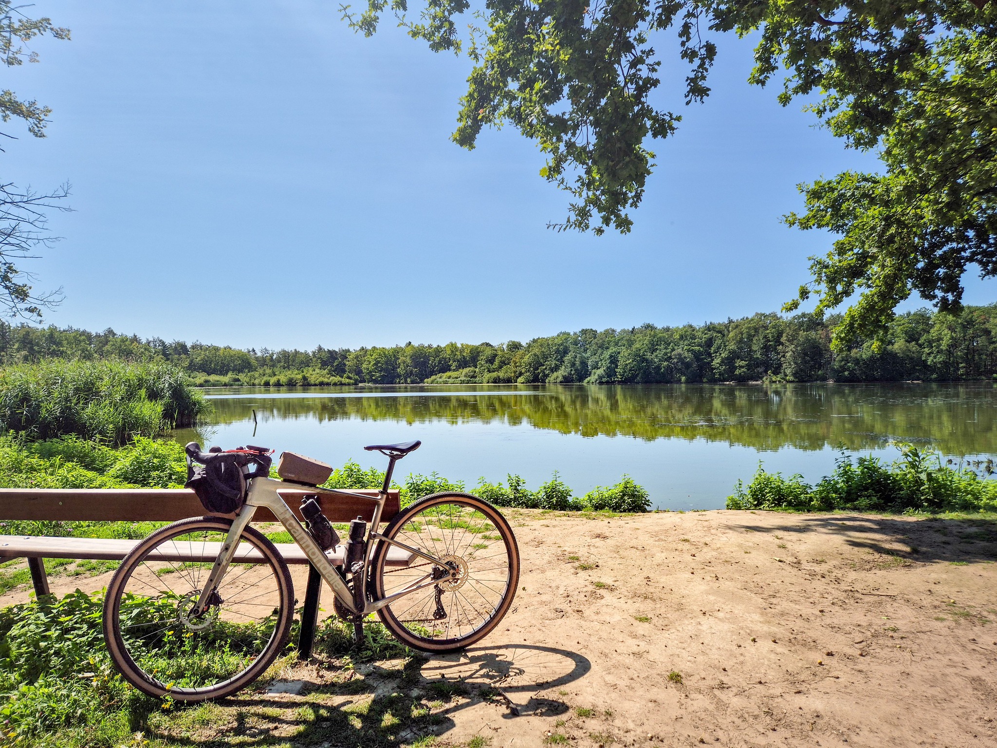 kinderfahrrad lenkerkorb 