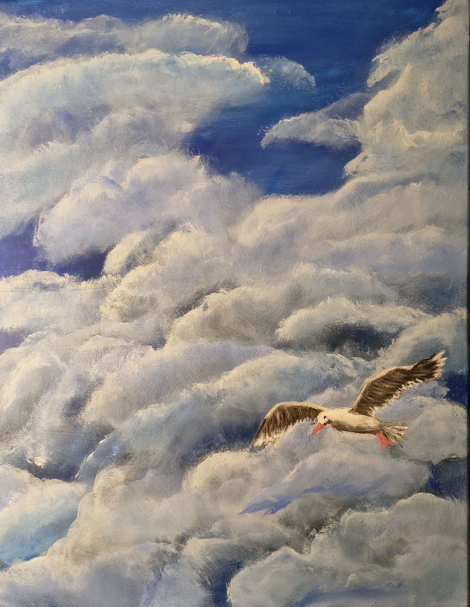 Jonathan Livingston Seagull