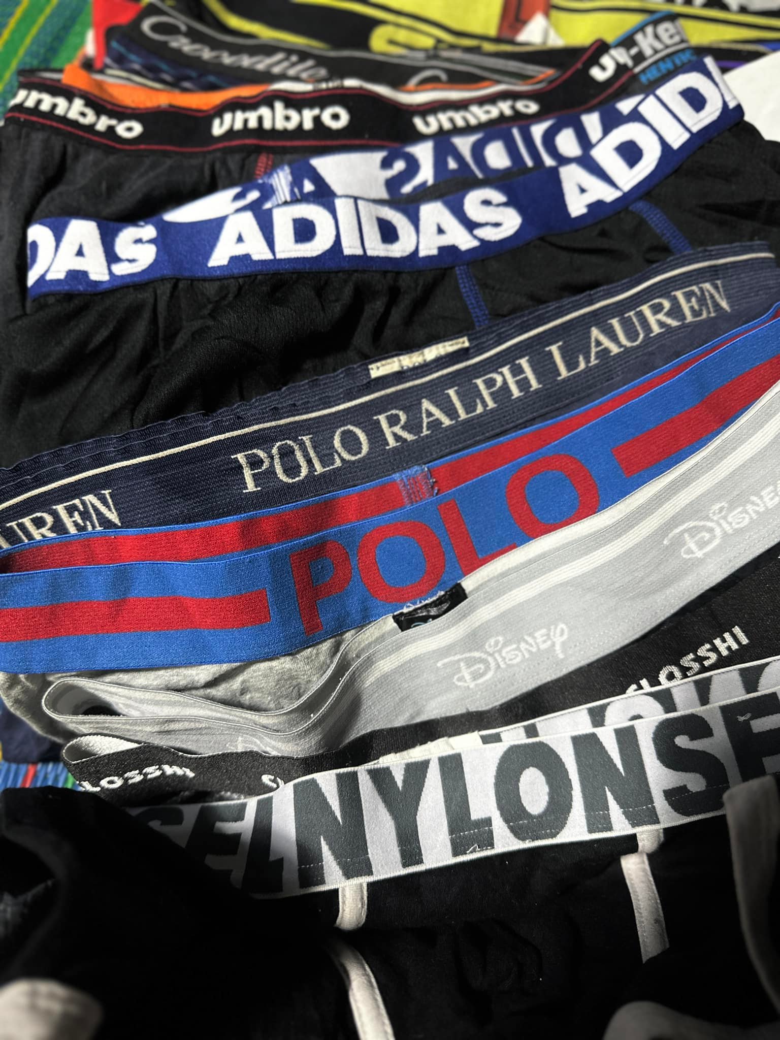 Boxer InDy บ็อกเซอร์แบรนด์เนม