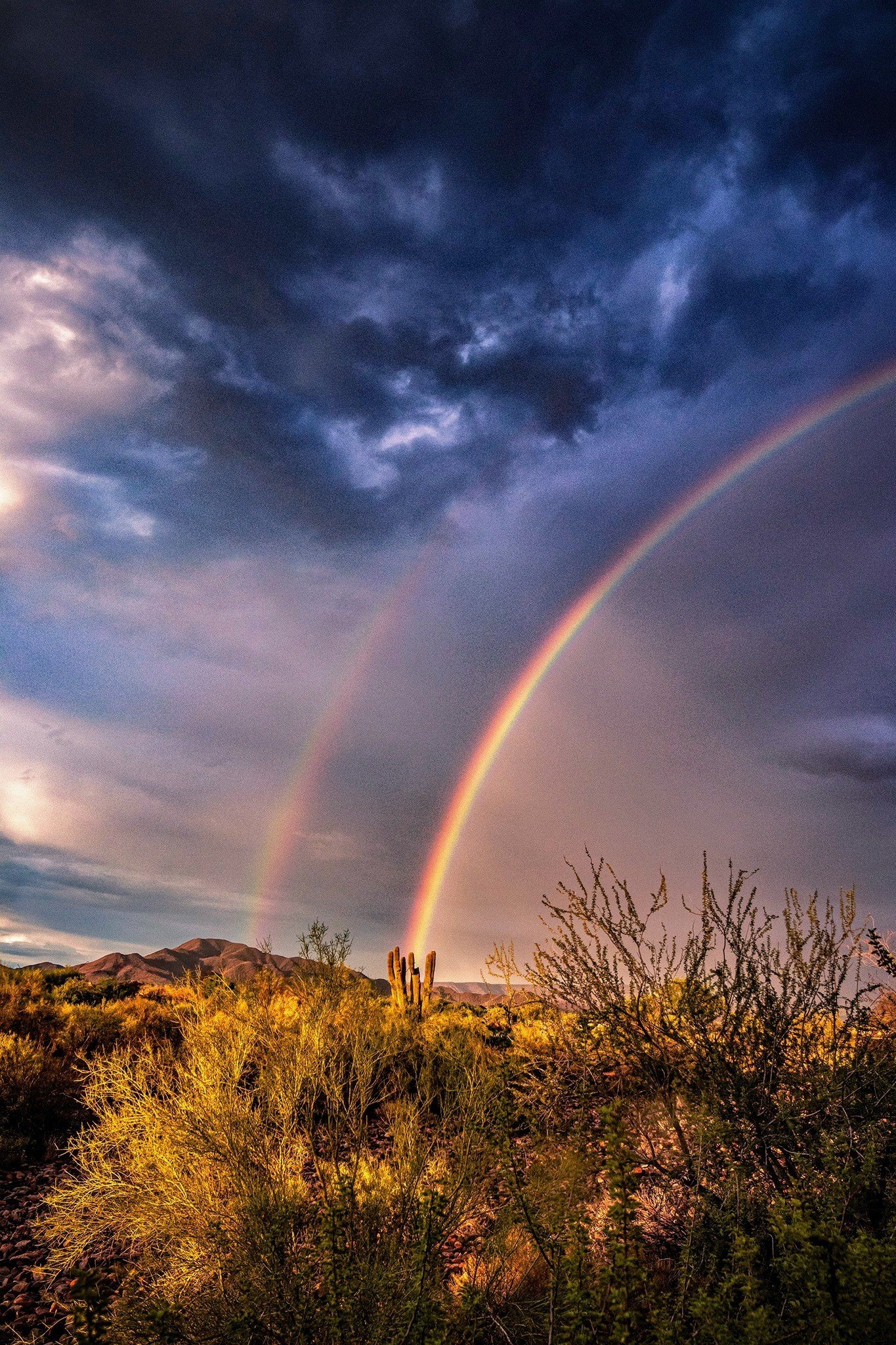 Crazy bright rainbow tonight over North Phoenix.🌵