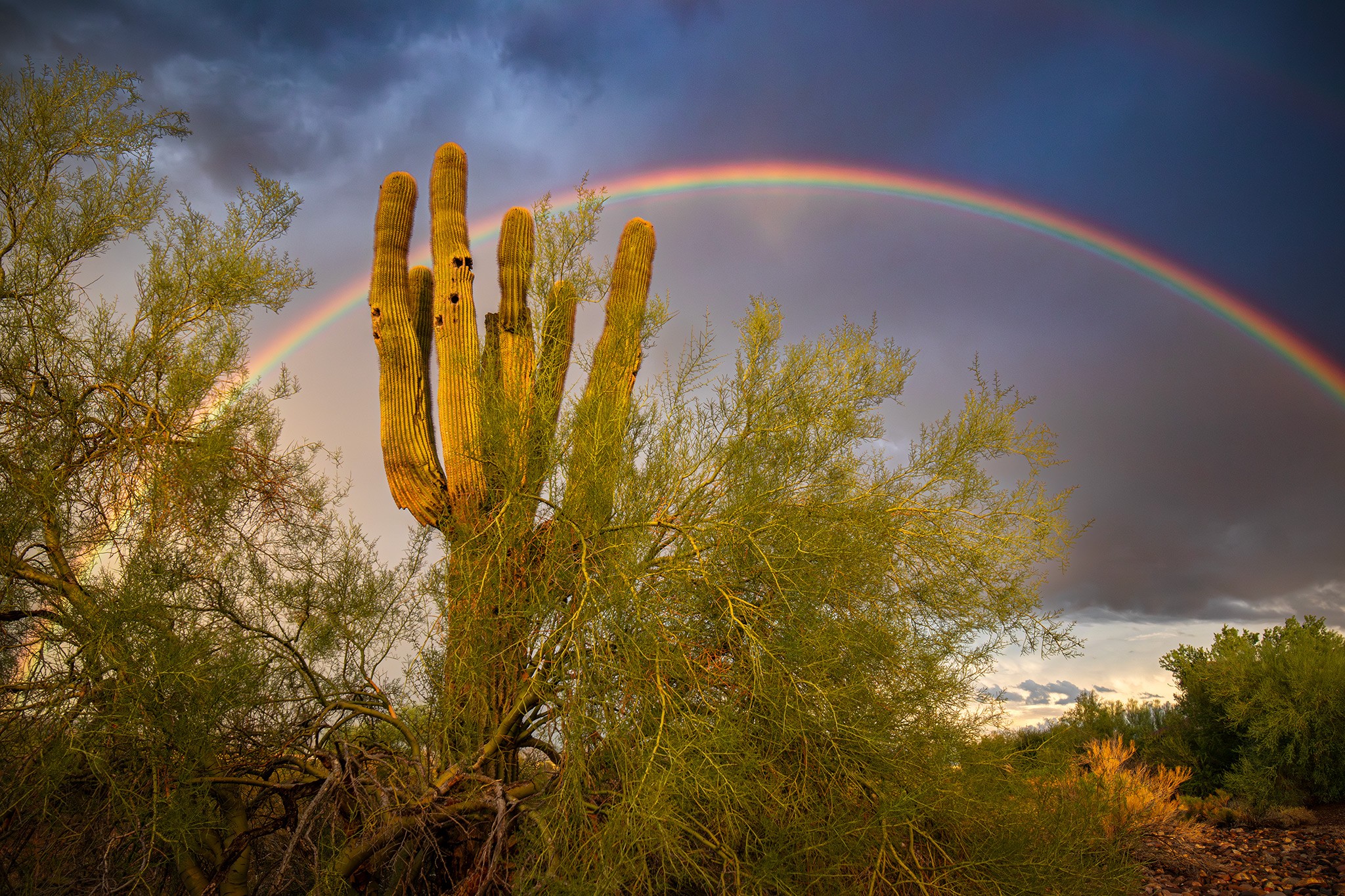 Crazy bright rainbow tonight over North Phoenix.🌵
