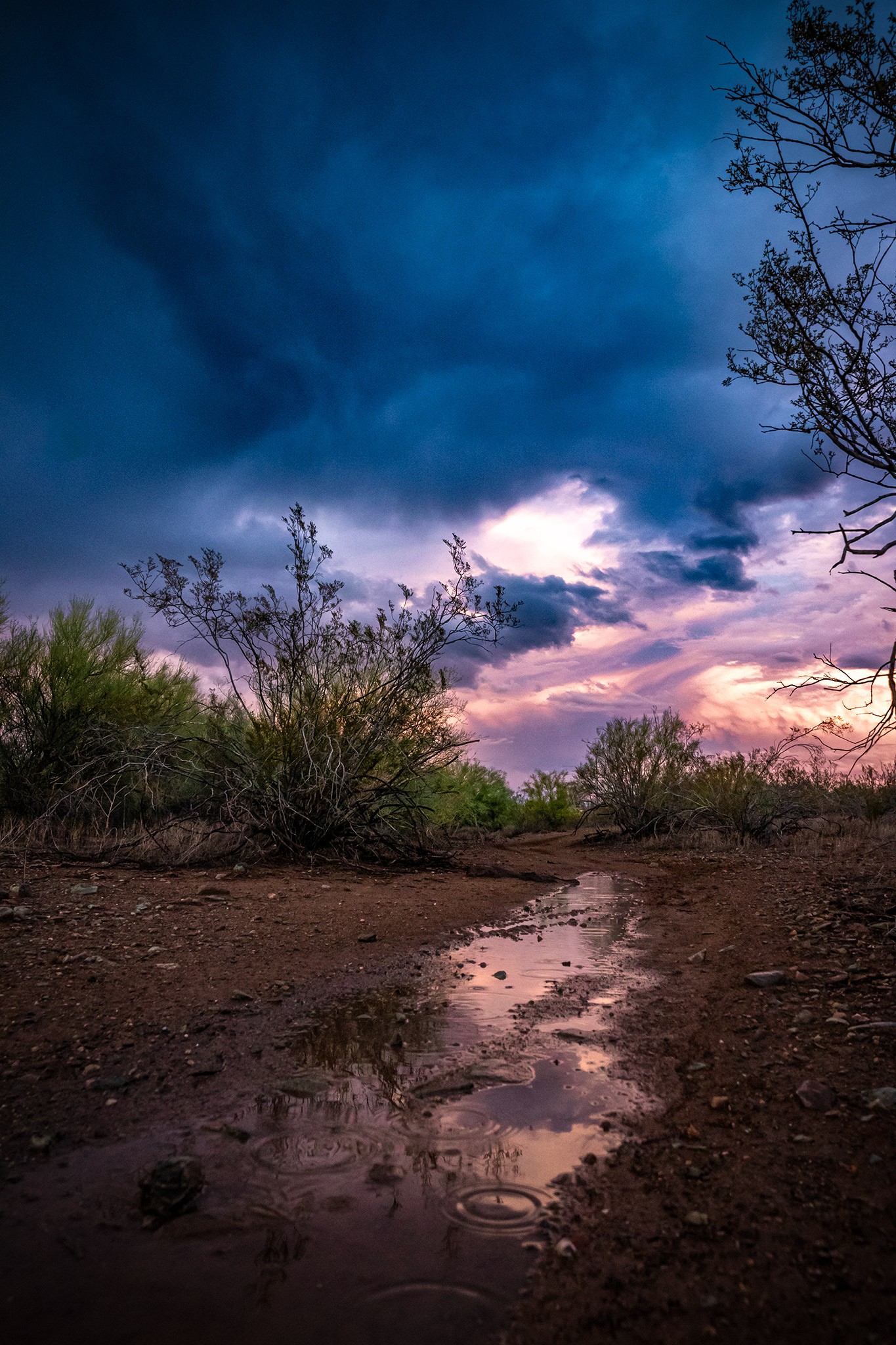 Crazy bright rainbow tonight over North Phoenix.🌵