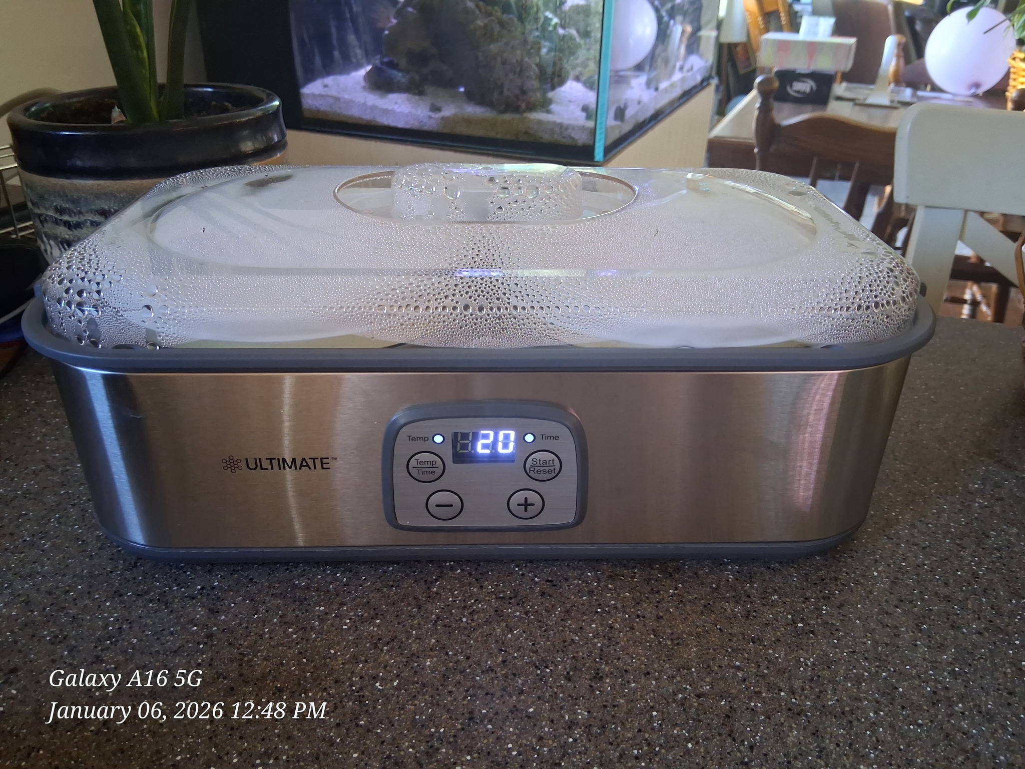 ポット New yogurt maker for ultimate health