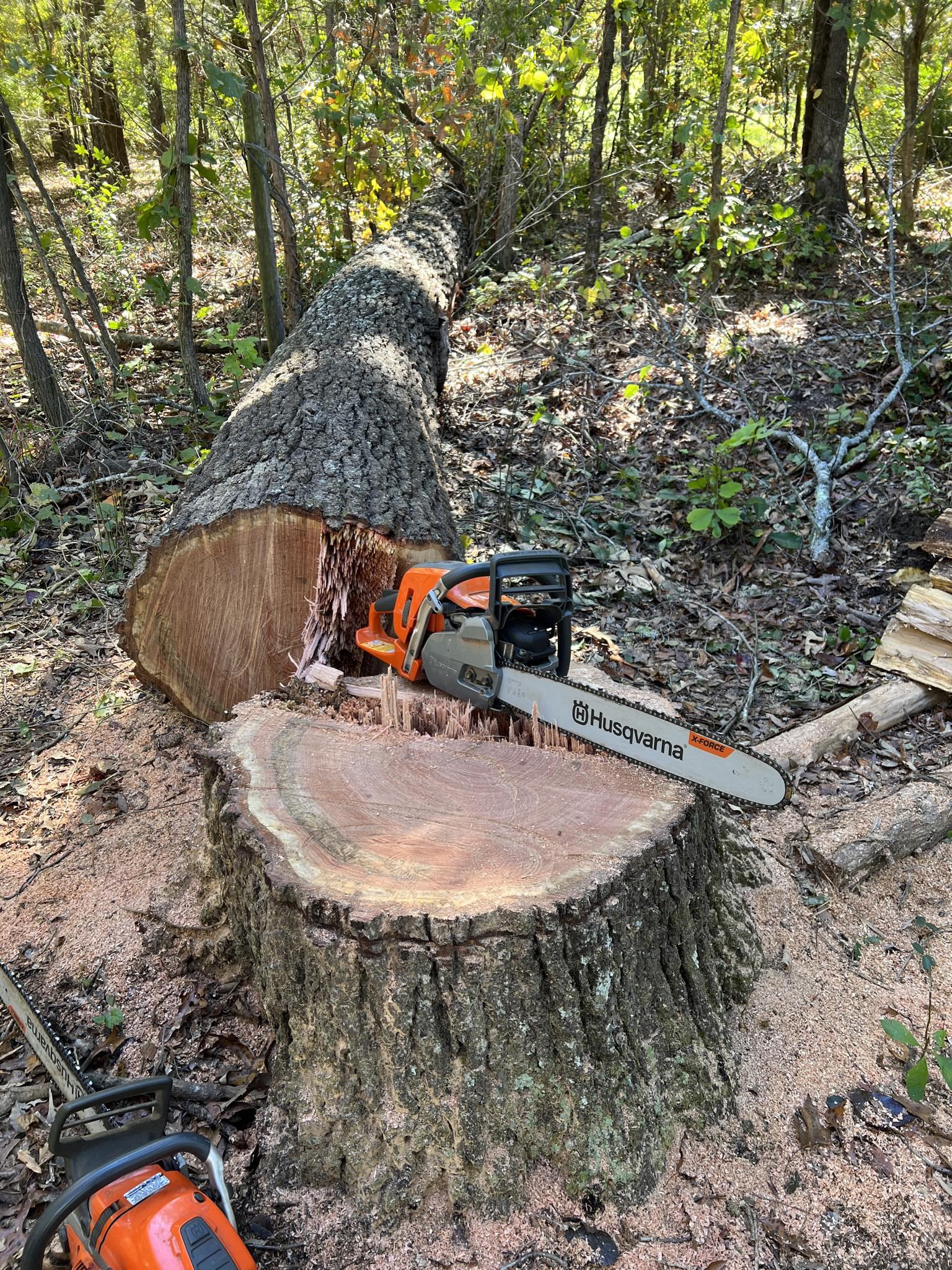 Husqvarna 550XP MkII reliability issues after 160 hours