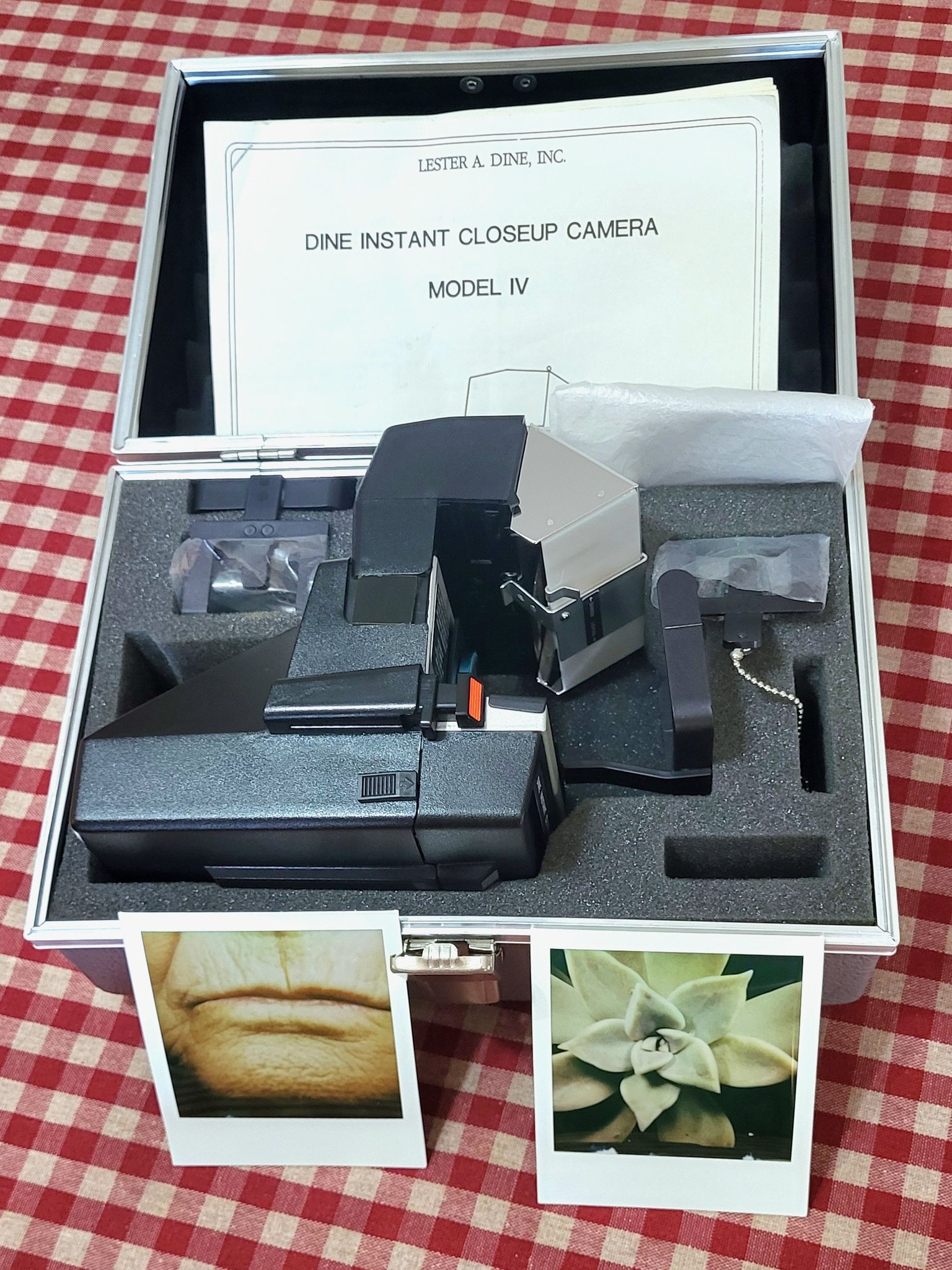 Polaroid Dine close up model IV for #macro #IlovePolaroid