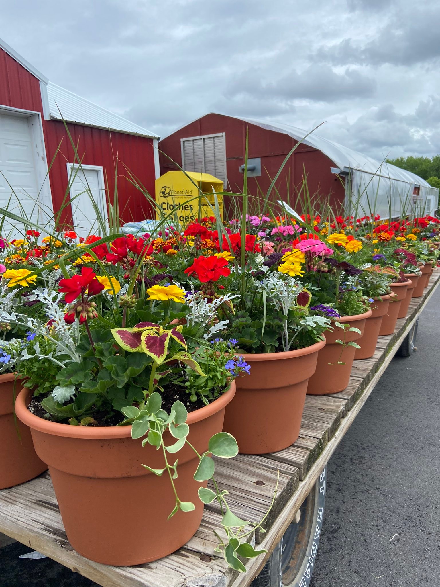 Vollmer Farms | East Syracuse NY