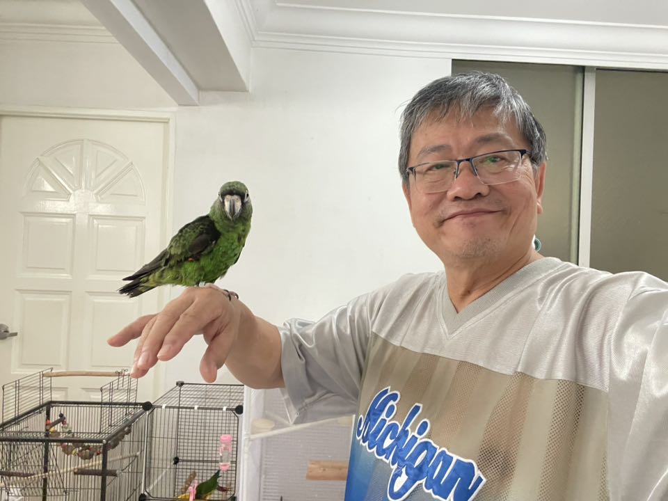 re-homing parrotlets with relocation fees