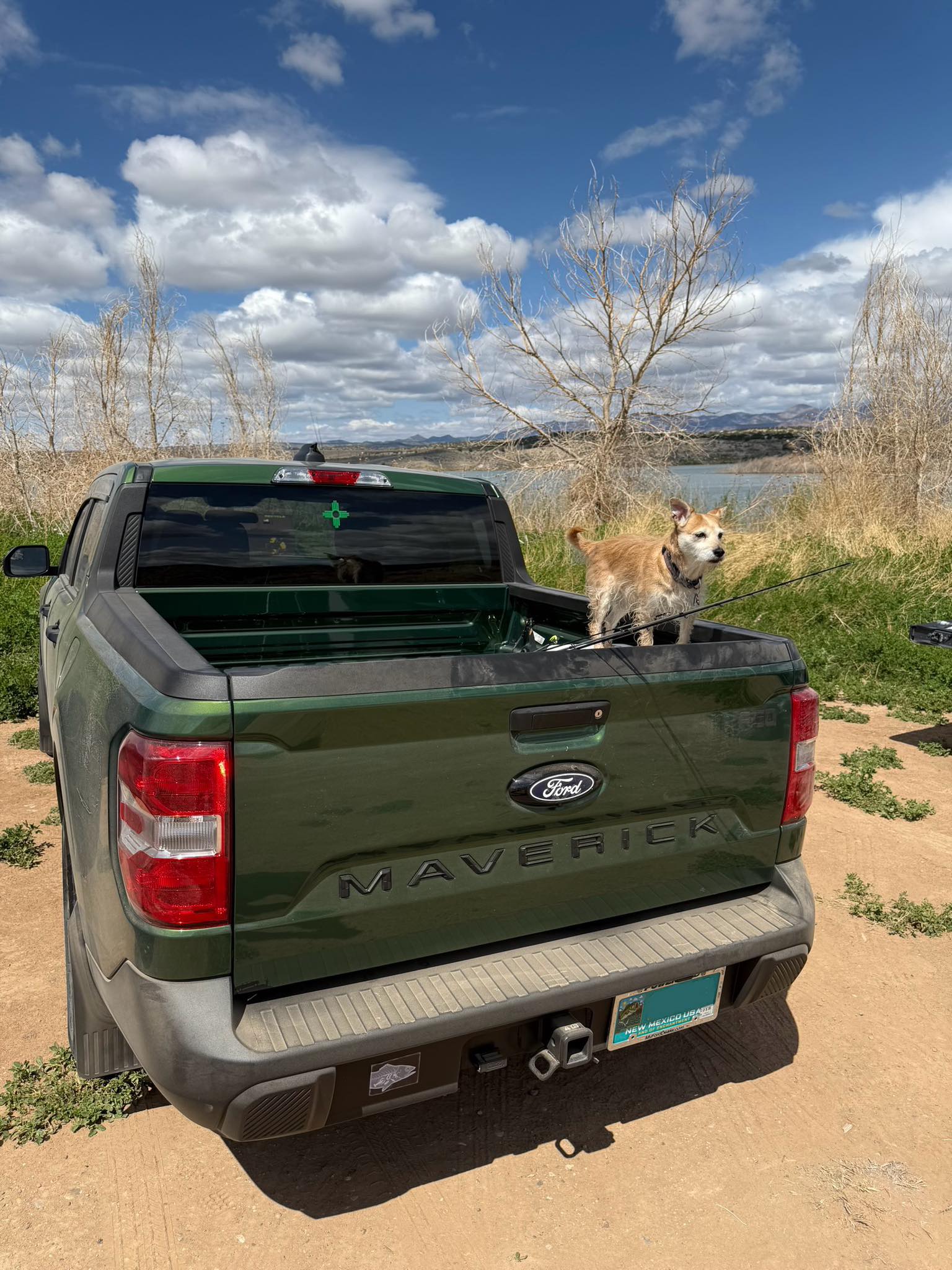 dogs wth fishing poles in truck Car Roof Rack Rod Holder, Vehicle Fishing Rod Holder Car Fishing Pole Roof Rack Inside with 5 Hole Pole Rack Belt Strap Fishing Tackle for Car SUV Wagons Van How to transport full length