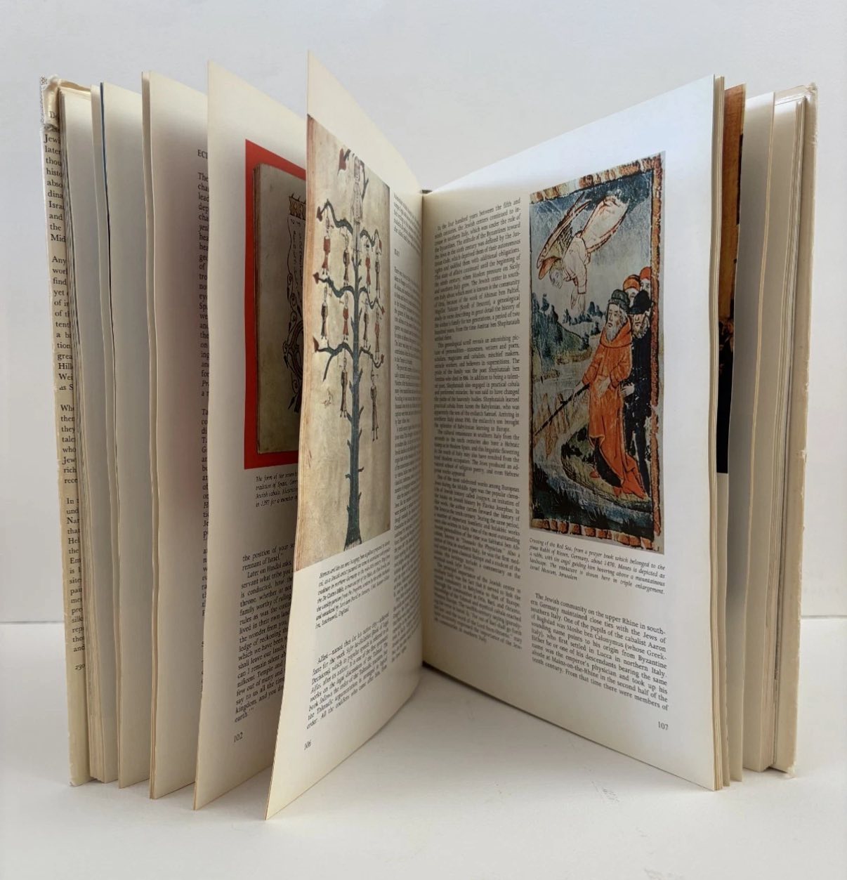 Florence Greenberg's Jewish Cookbook — a classic collection of