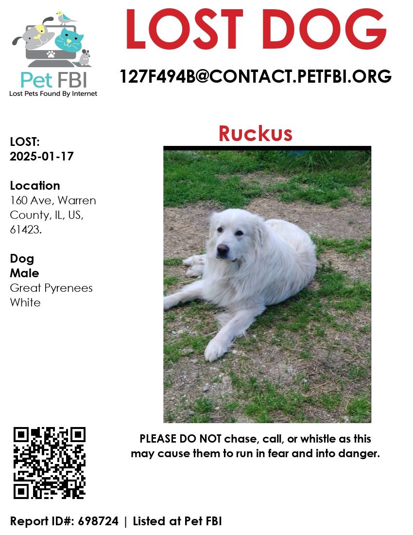 Lost & Found Pets of Macomb IL | Facebook